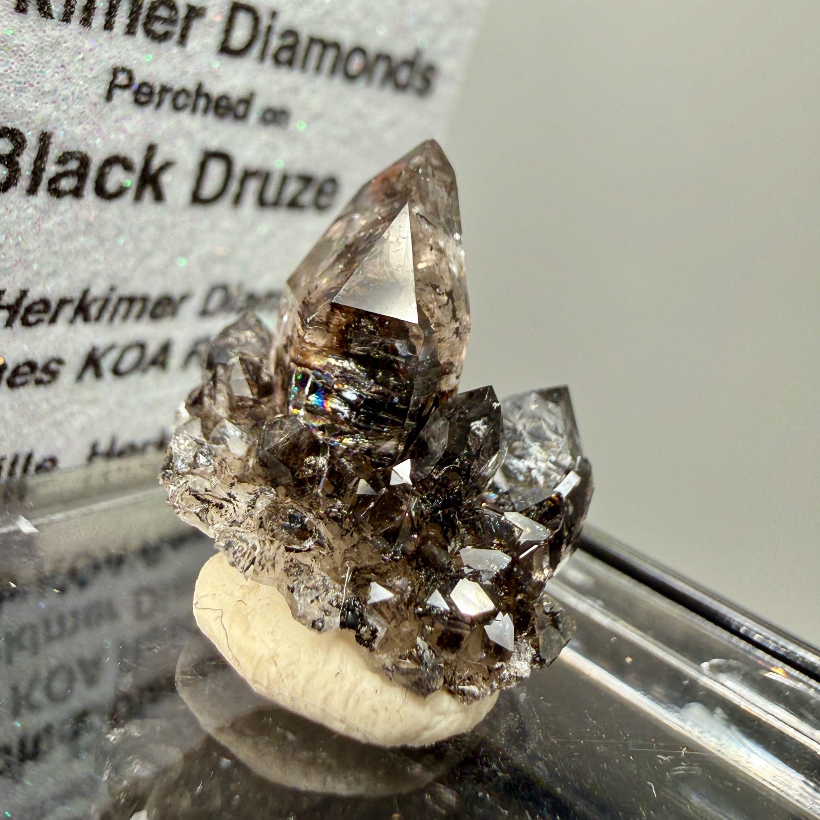 Herkimer Diamond Perched on Rare Black Druze, Gem Points w/ Phantoms