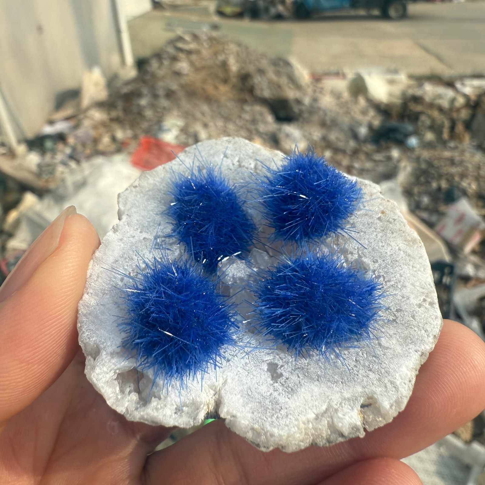 Raw Rough Dandelion Zeolite Cluster Blue Cave Quartz Crystal Decoration 10pc