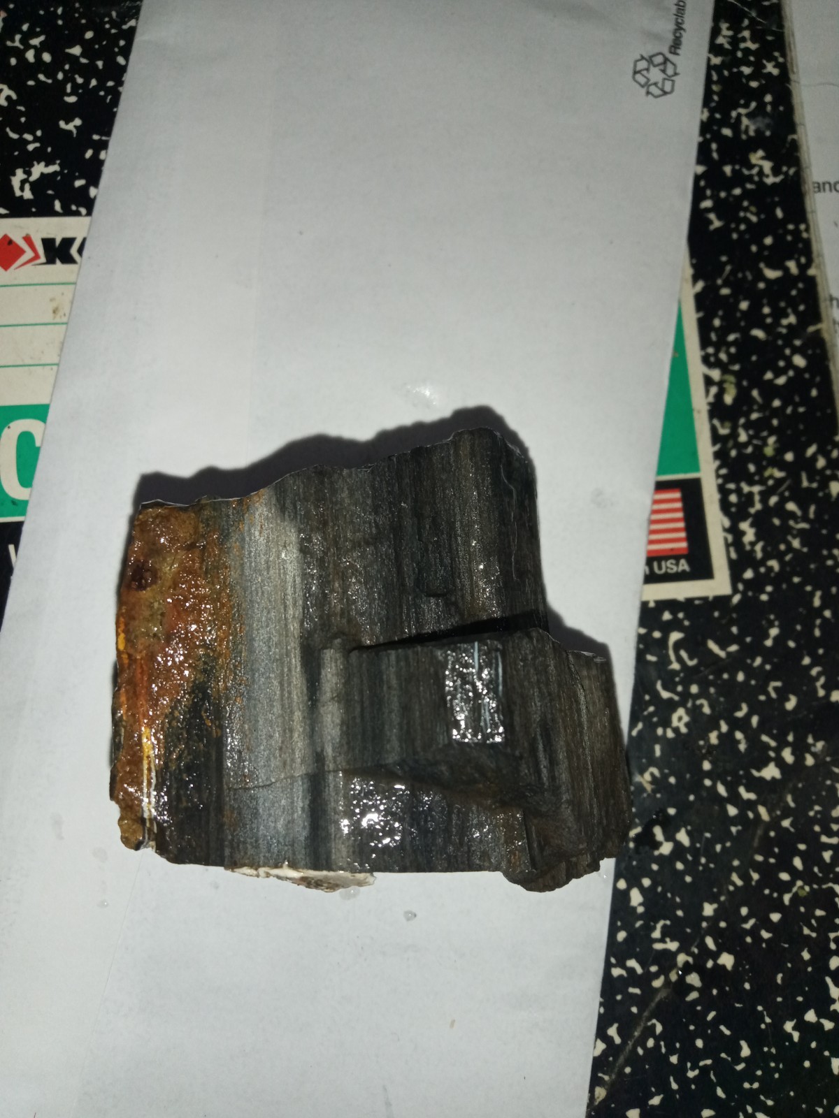 Beginning Stage Of Opalization On Petrafied Wood