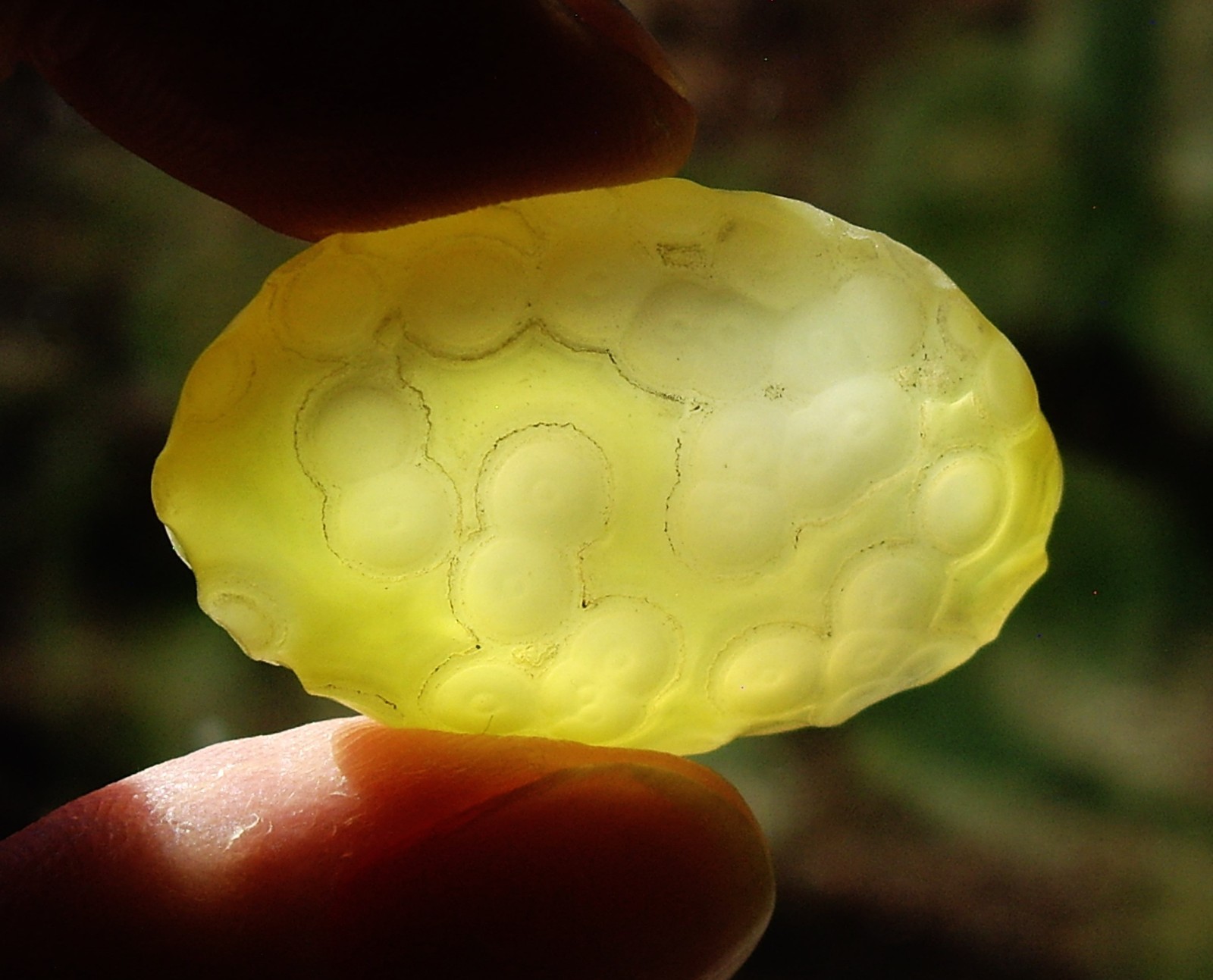Natural Translucent Yellow Gobi Desert Agate “Gobi Stone” 10.5g