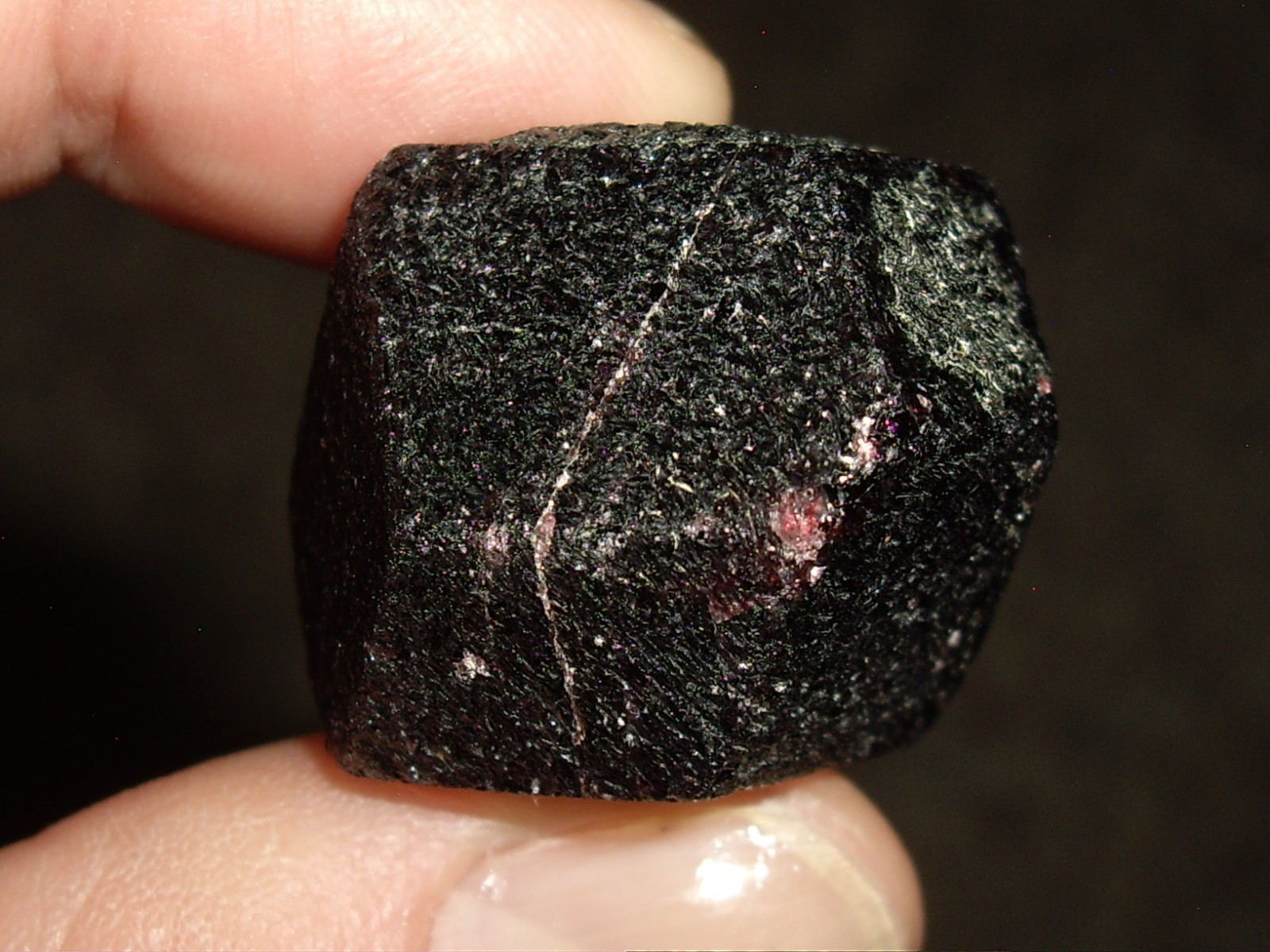 Deep Red Medium Large Garnet Crystal (Almandine ) 29.8g
