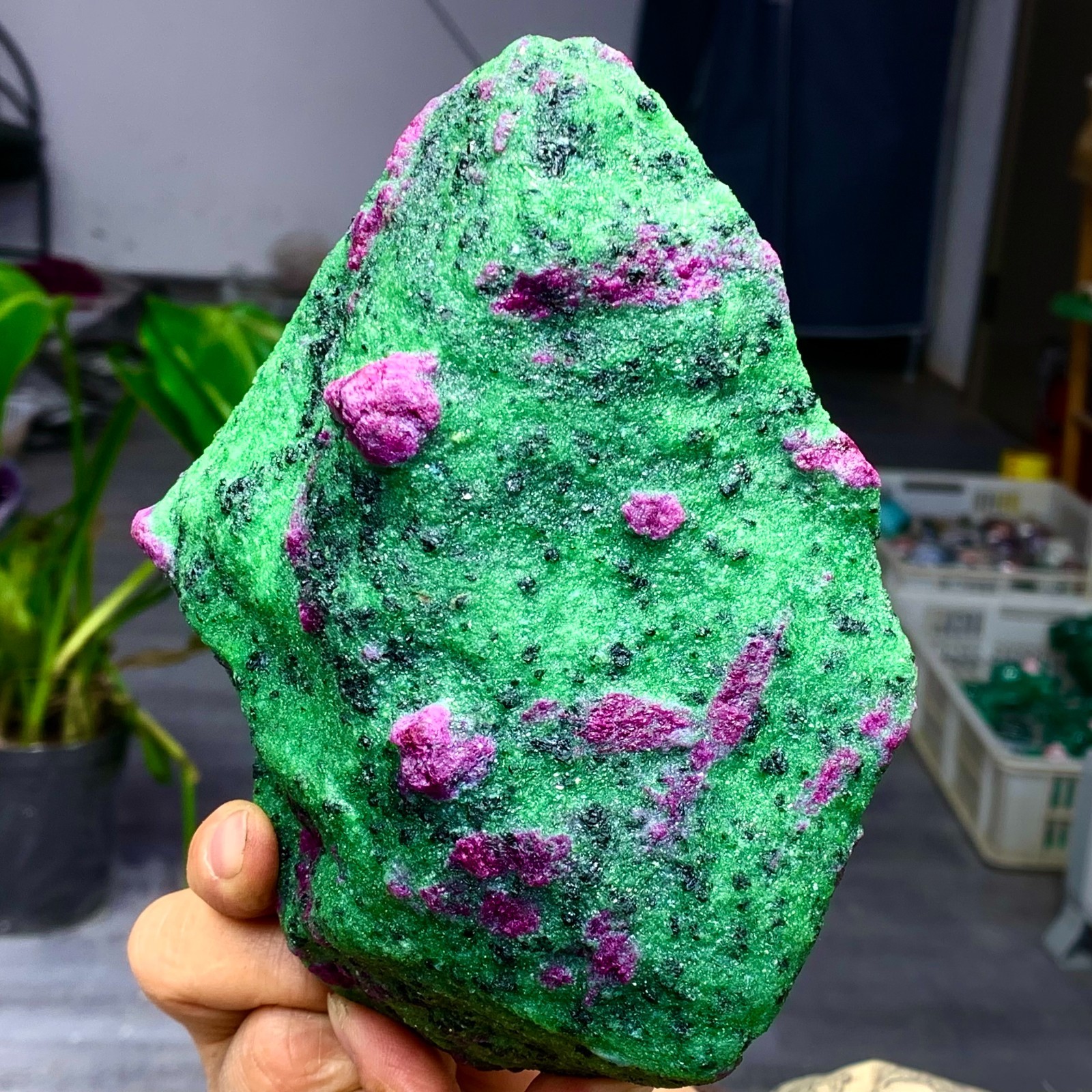 3.5LB Natural green Ruby zoisite (anylite) crystal Chakra Healing Energy A761