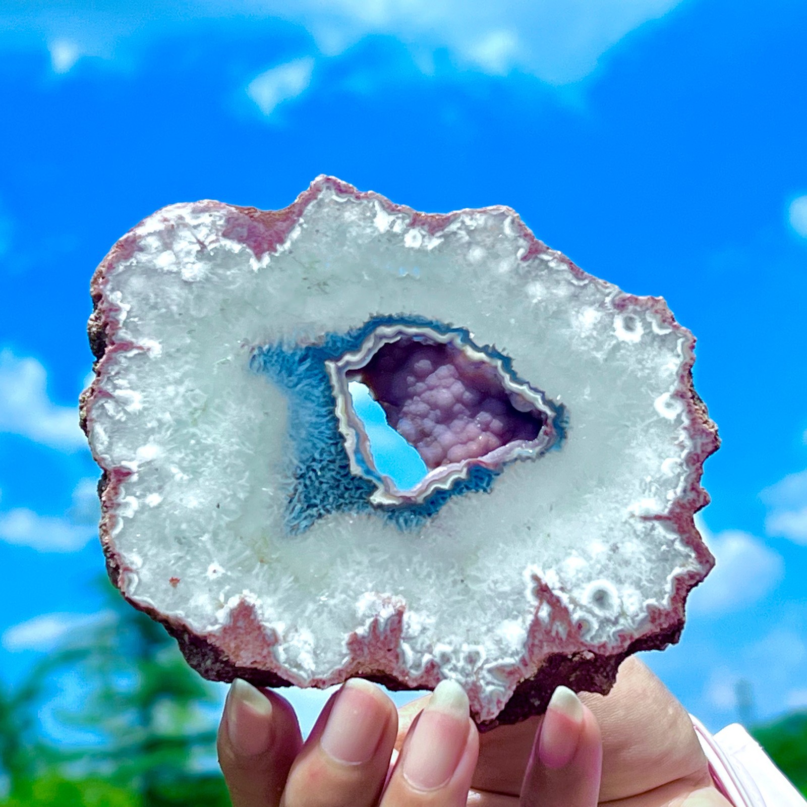 212G Natural Colorful Lace Agate Geode Slice Extra Large Gem From Argentina
