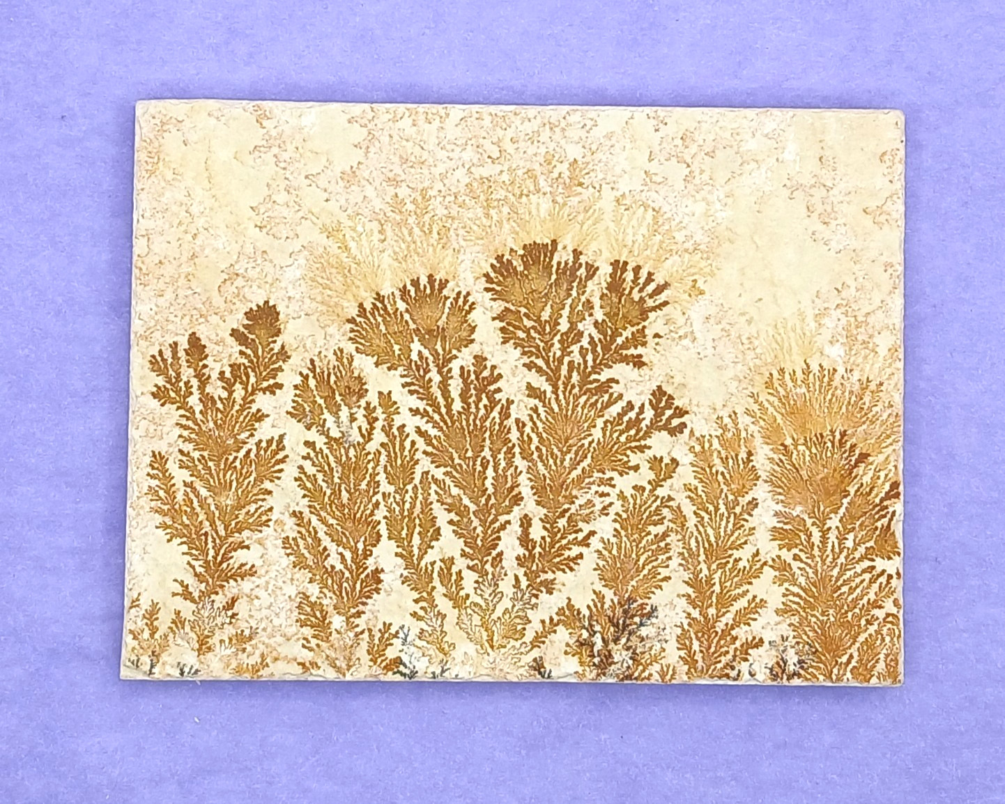 Manganese Oxide Dendrites Plaque 80mm Bavaria Germany in Presentation Box
