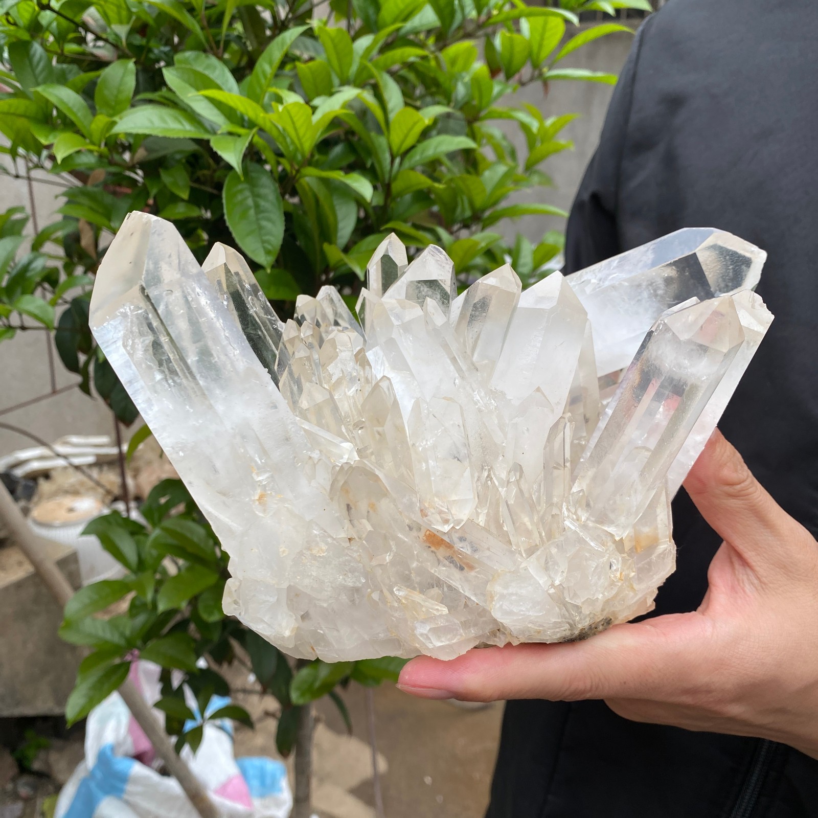 7.4lb Natural Clear White Quartz Crystal Cluster Rough Healing Specimen