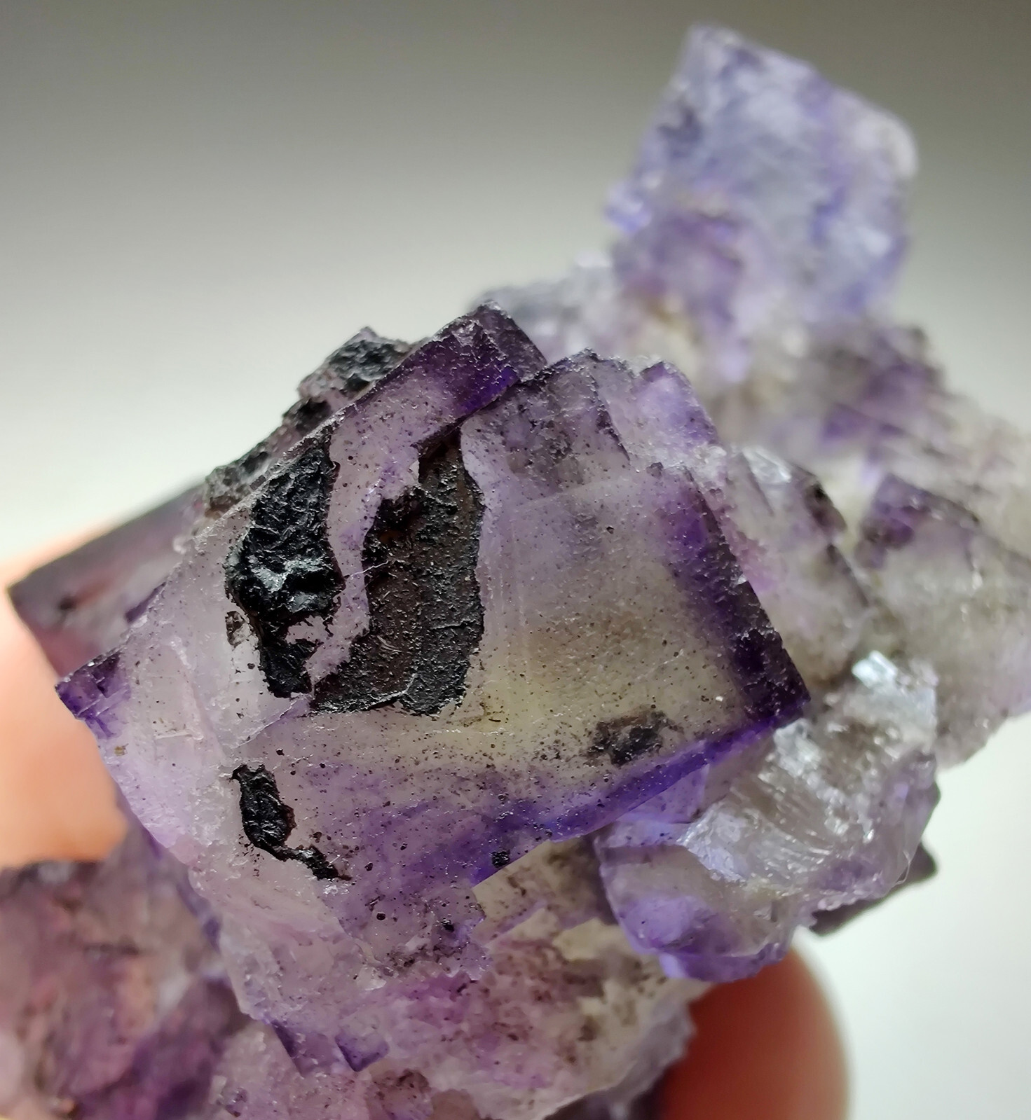 Fluorite crystals with Bitumen. Cave-in-Rock, Illinois. 98 grams.