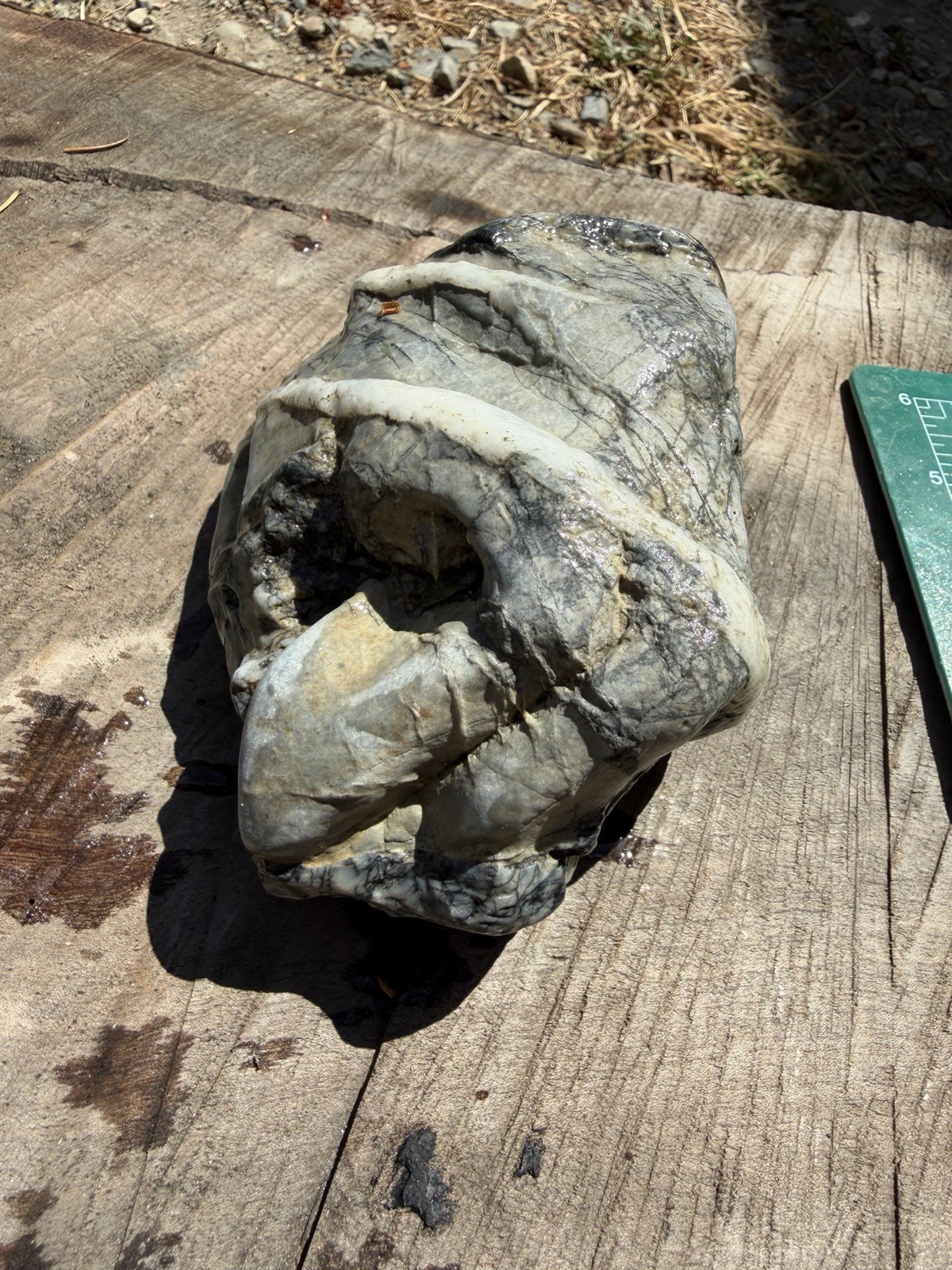 Unique Quartz Veined River Stone Natural Abstract Sculpture Display Specimen