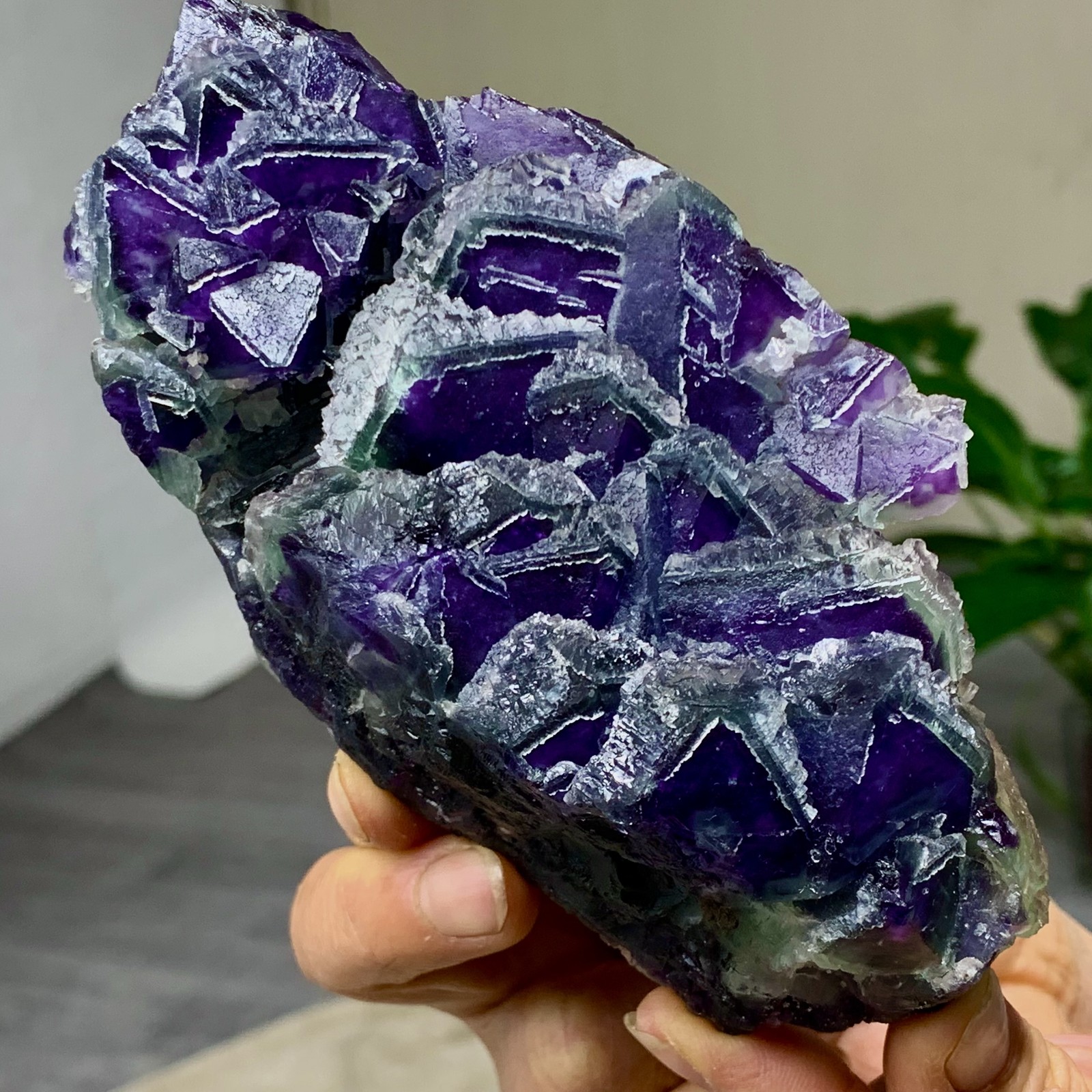 643G Rare transparent purple octahedron fluorite mineral crystal sample/China