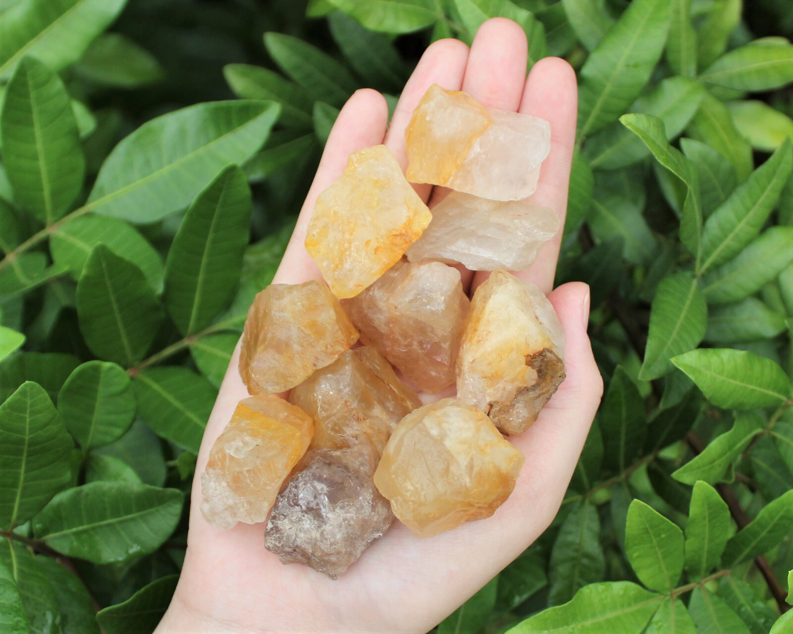 Golden Healer Quartz Rough Natural Stones Bulk Lots (Raw Golden Quartz Crystals)