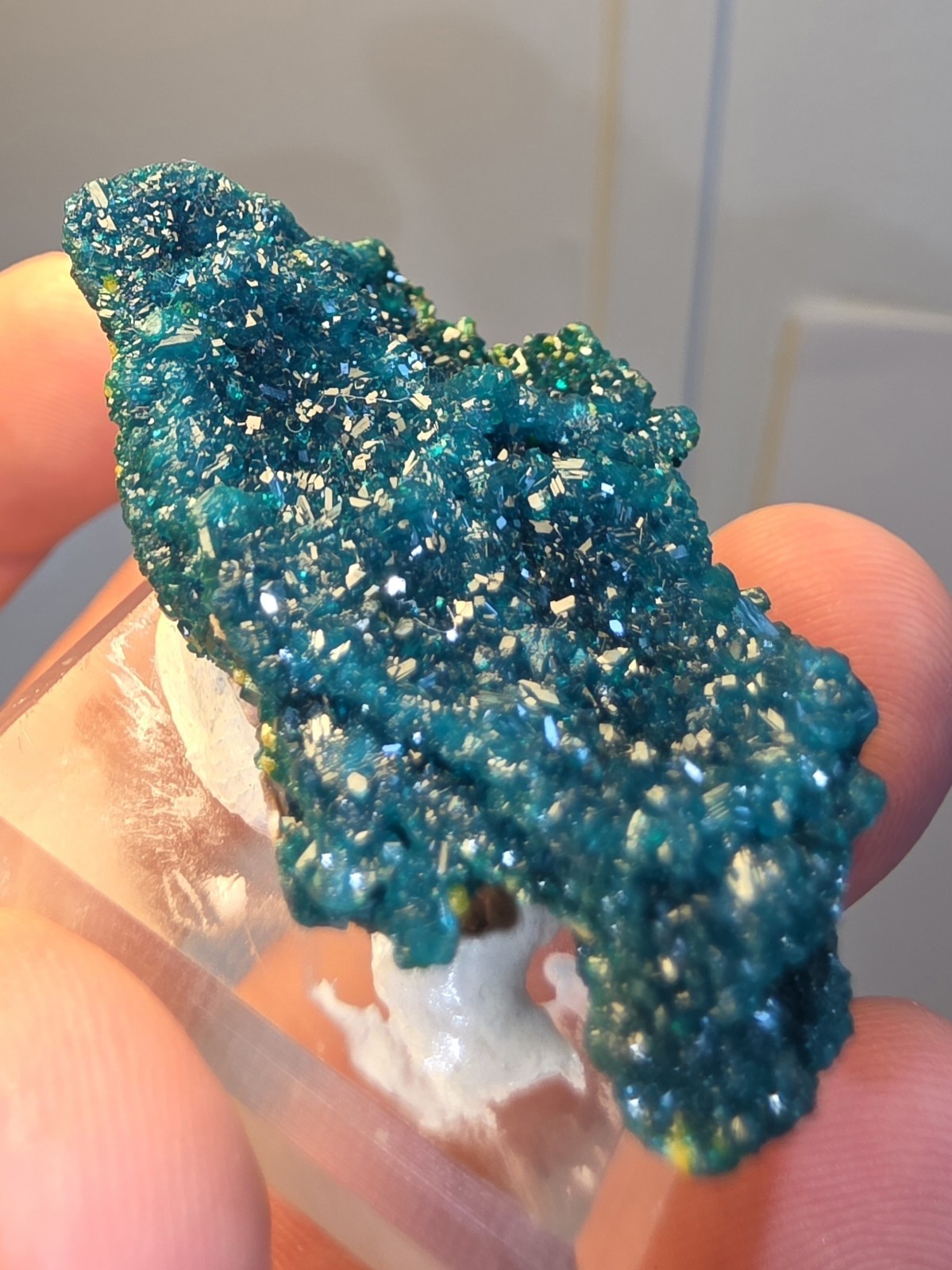 DIOPTASE w/ Wulfinite Crystal Mineral Specimen Cluster Green CONGO AFRICA 4.5 cm