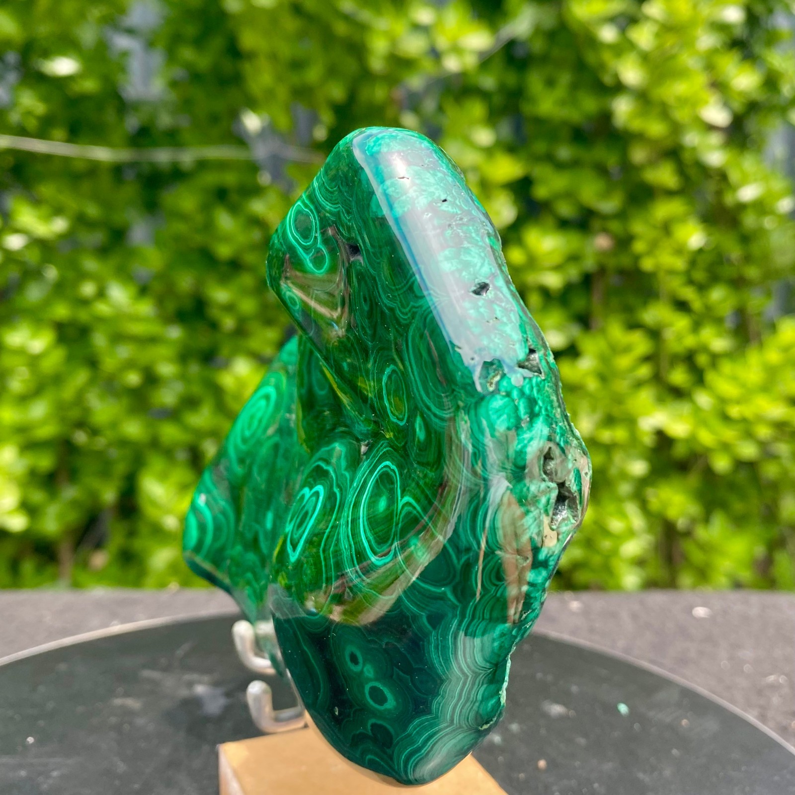 1.65LB Natural glossy Malachite transparent cluster rough mineral sample