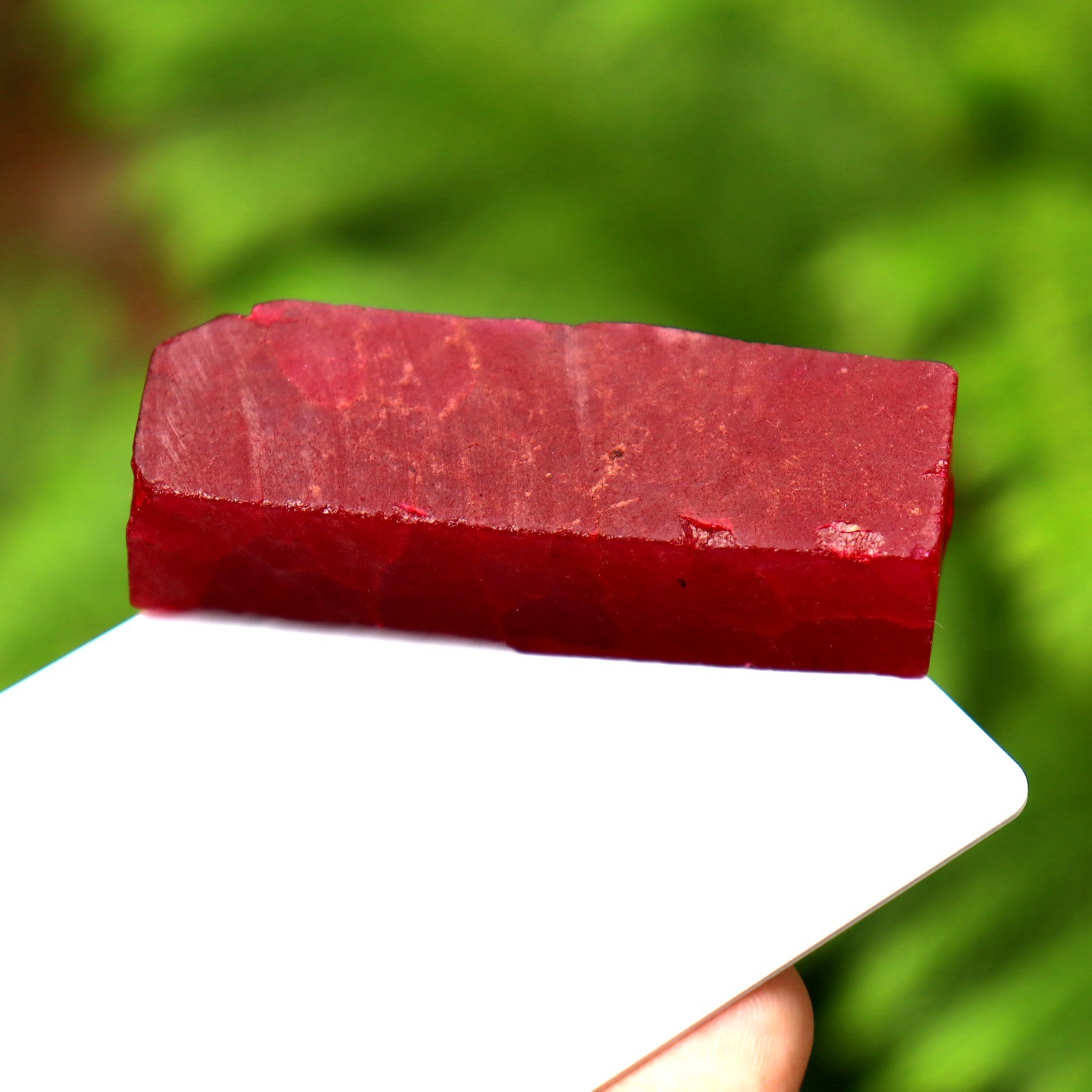 BURMA Red Ruby Rough Certified Loose Gemstone Uncut 223 CT