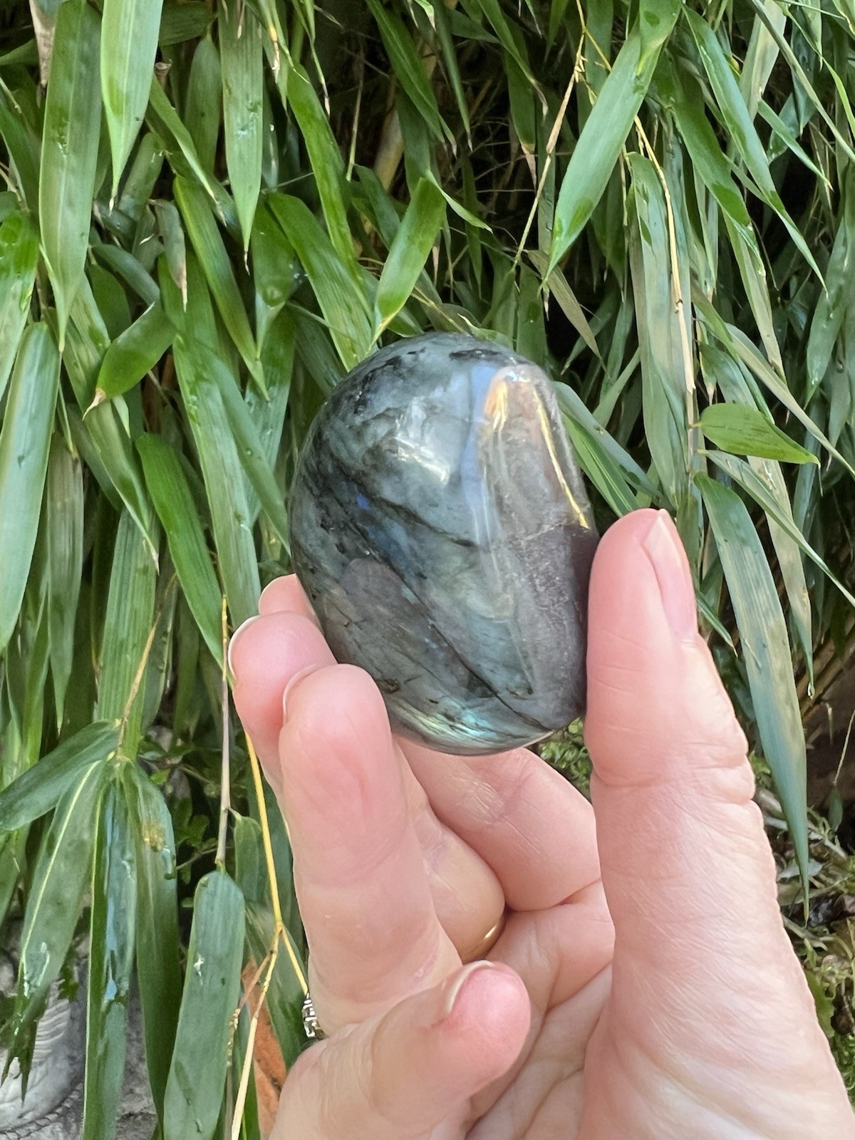 Deep Blue Labradorite Freeform Iridescent Crystal AAA+ 11