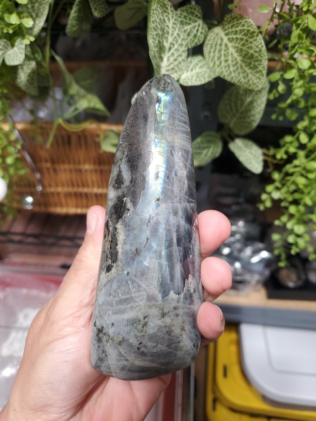 Labradorite Freeform Crystal, Yellow Flashes Decor 390g