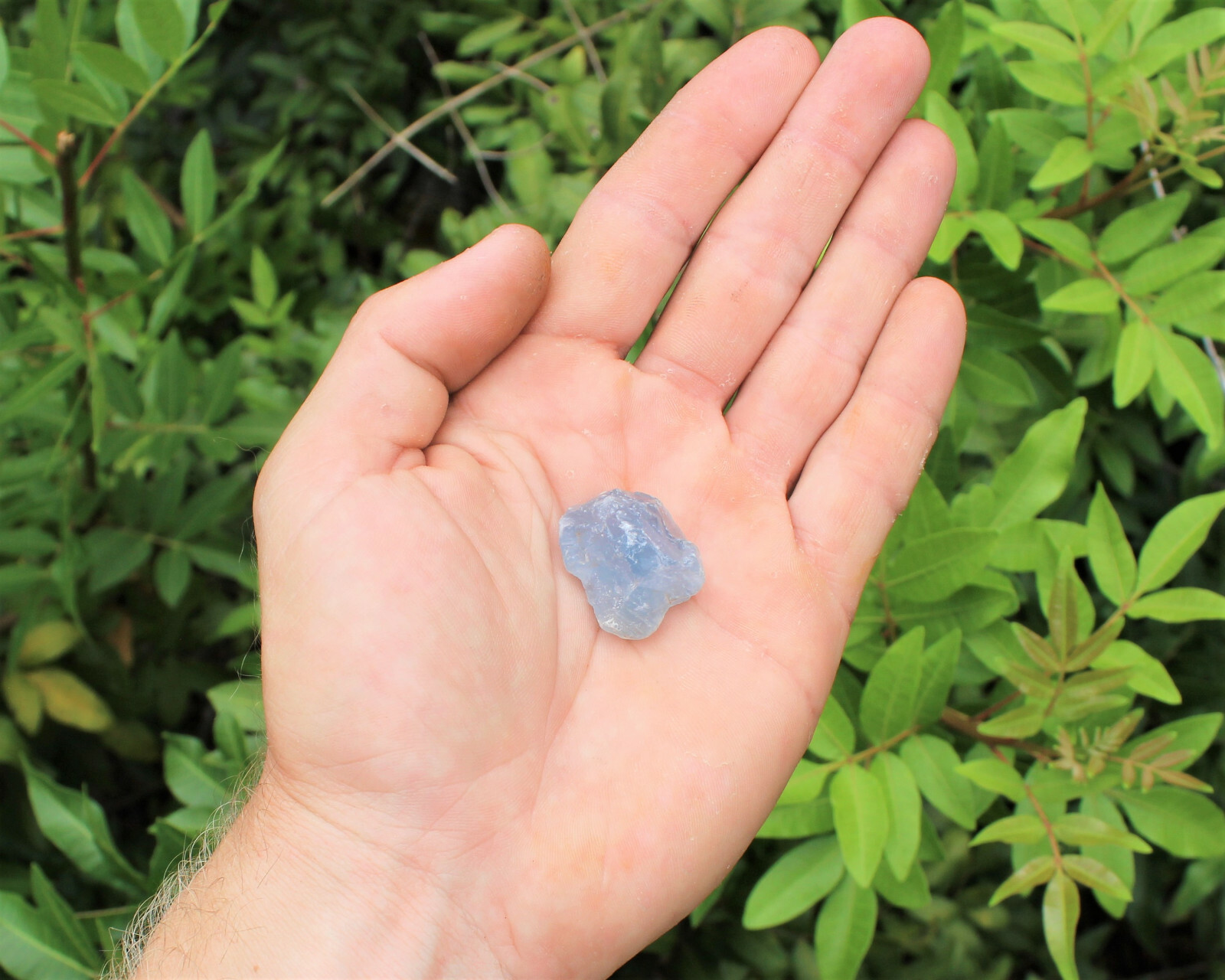 Celestite Rough Chips Natural: Choose Amount (Raw Celestite Crystals, Celestine)
