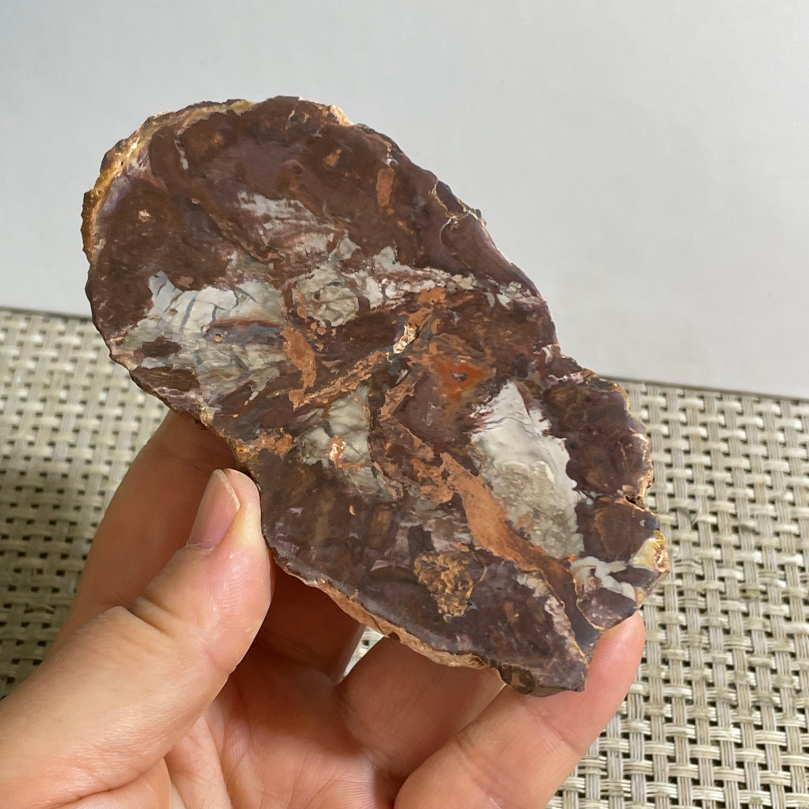 Natural Polished Petrified Wood Crystal Slice Madagascar 175g