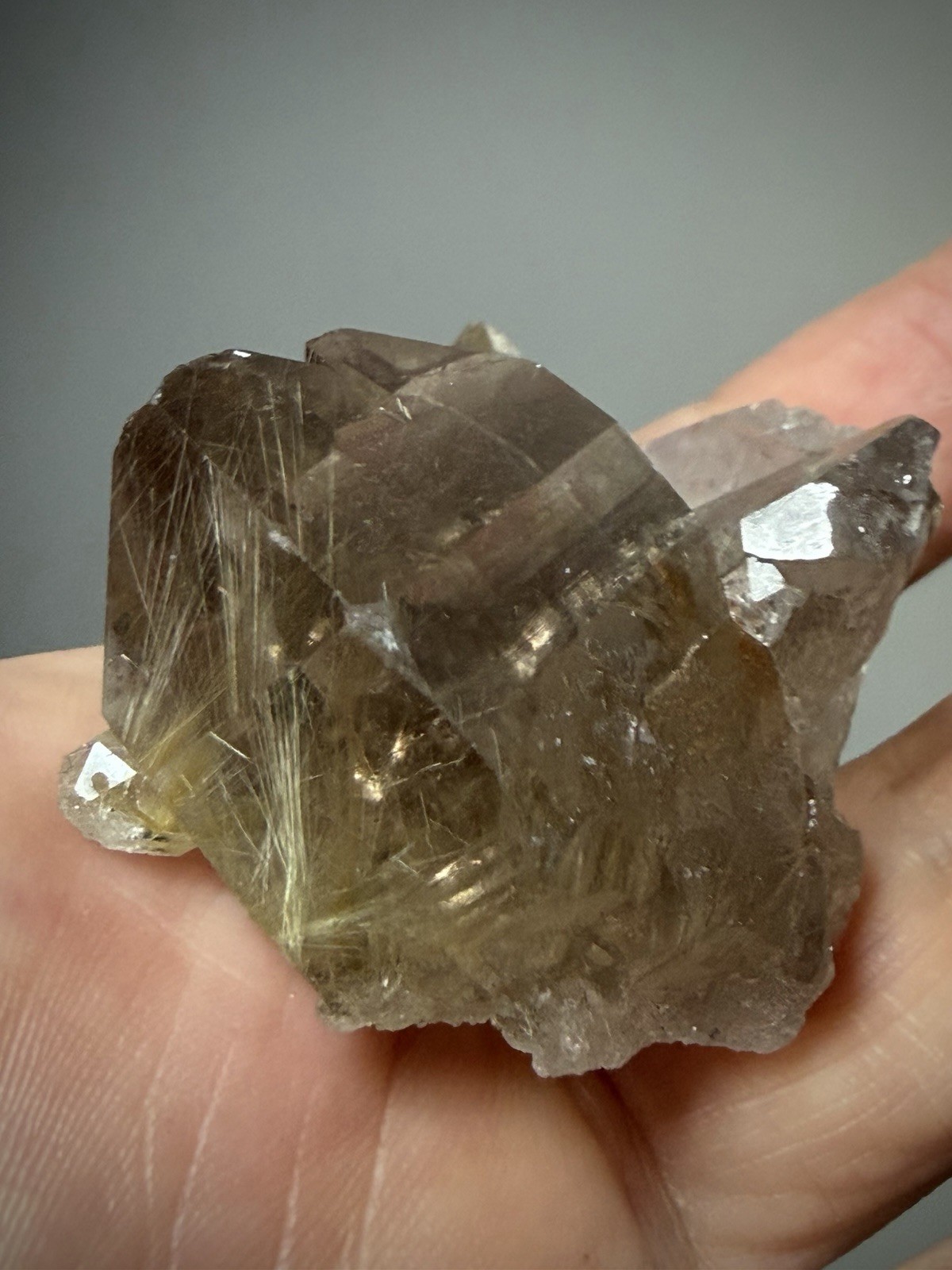Rutilated Quartz Crystal Gold Rutile Inclusion Quartz Druzy Quartz Brazil