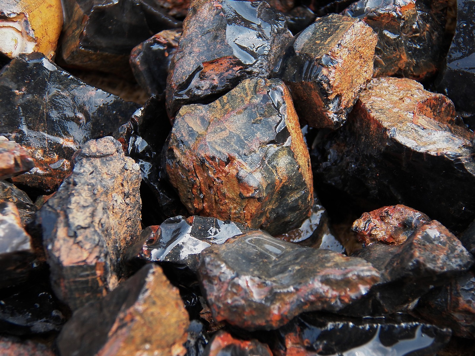1000 Carat Lots of Black Onyx Rough – Plus a Very Nice FREE Faceted Gemstone