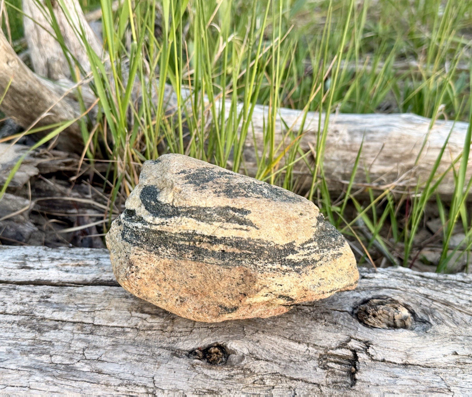 Natural Lake Michigan Rock Granite Large LOOK! 👀 3lb+ READ CAREFULLY
