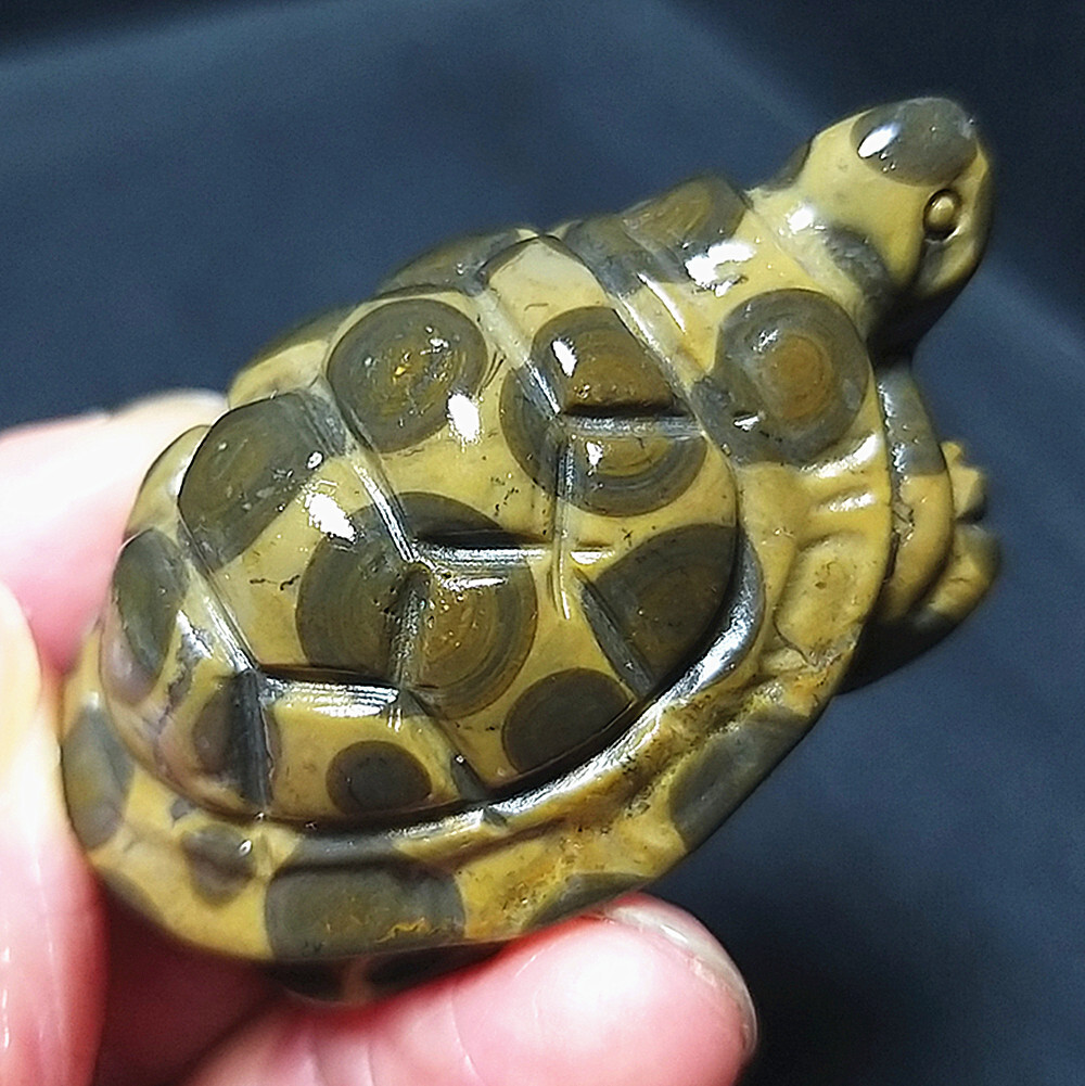 TOP 34.6G Natural Polished Money Tortoise Agate Hand-carved Healing A2588
