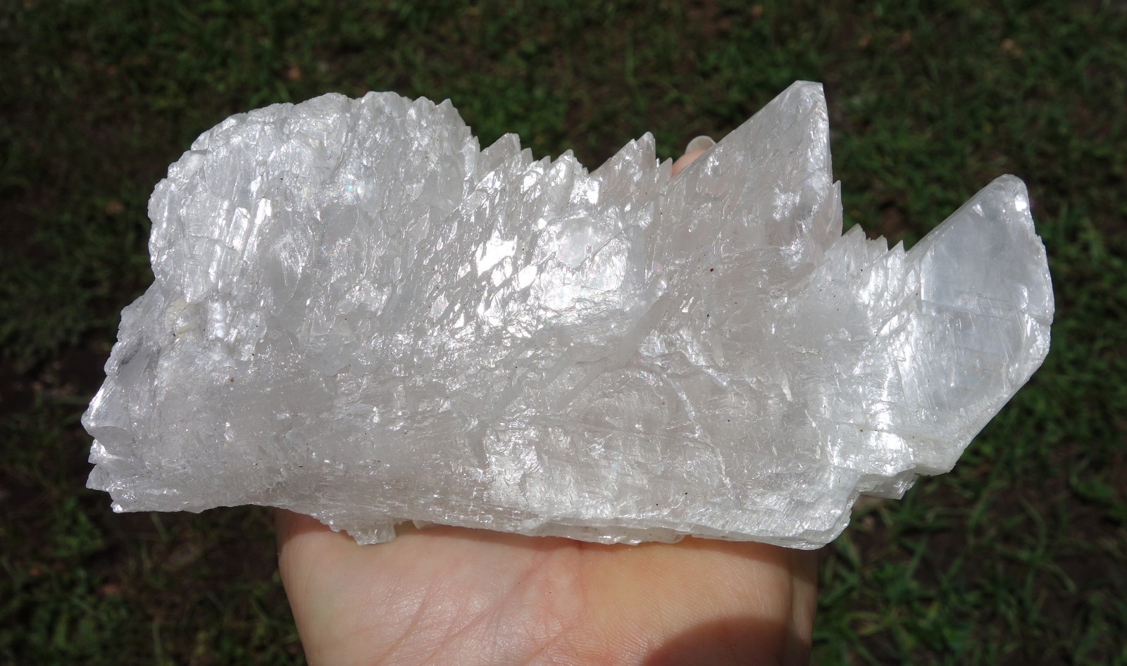 Shiny Large FISHTAIL SELENITE Natural Crystal Point from Naica Mexico For Sale