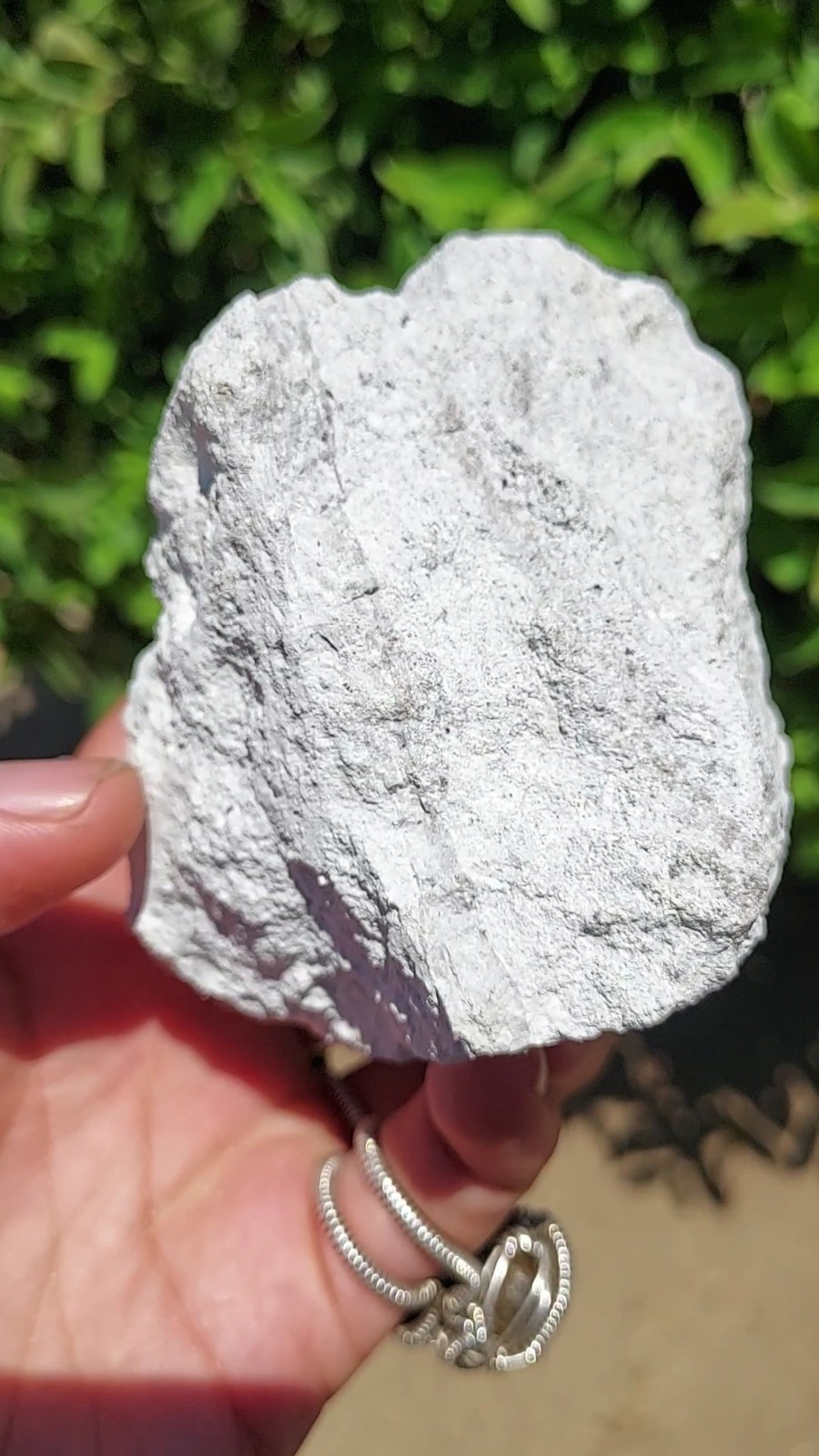 ULTRA GEM FACET GRADE SECTIONS LARGE RED BERYL / BIXBITE ON MATRIX UTAH, USA