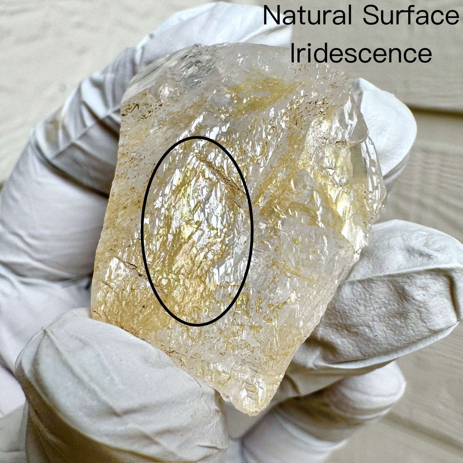 “Golden Triangle”Ganesh Himalayan Nepal Quartz Nirvana Record Keeper Crystal