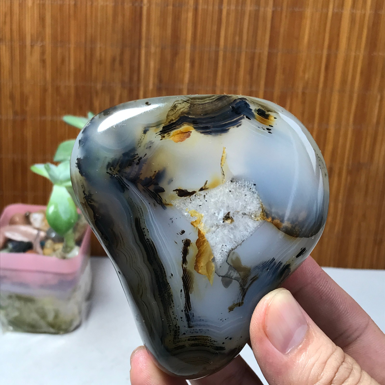 86-75-34mm Natural aquatic plants agate pretty Crystal specimens 300g A1638