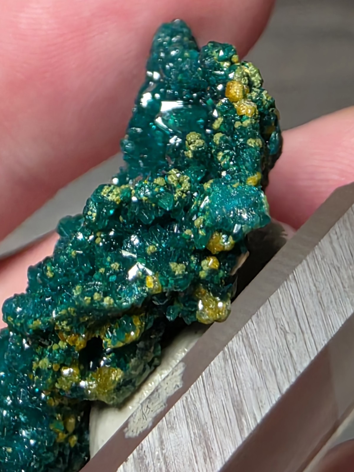 DIOPTASE w/ Wulfinite Crystal Mineral Specimen Cluster Green CONGO AFRICA 4.5 cm