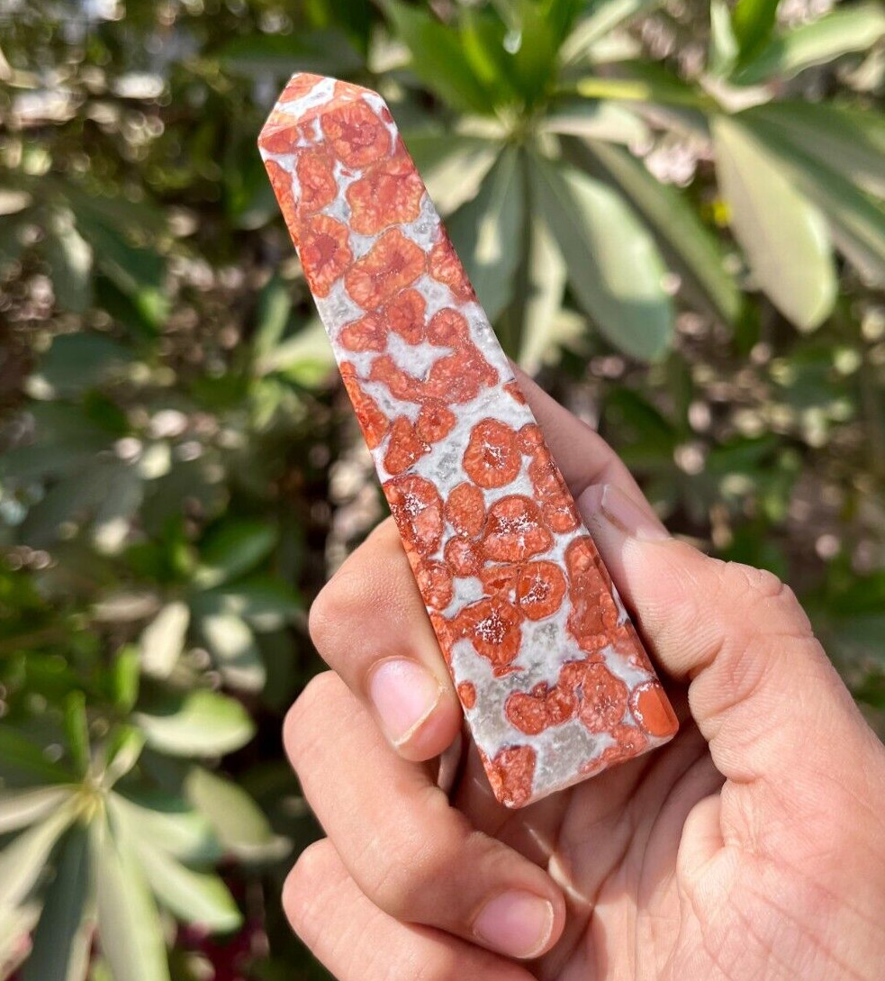 110MM Red Hornitos Poppy Jasper Stone Metaphysical Meditation HealingPower Tawar