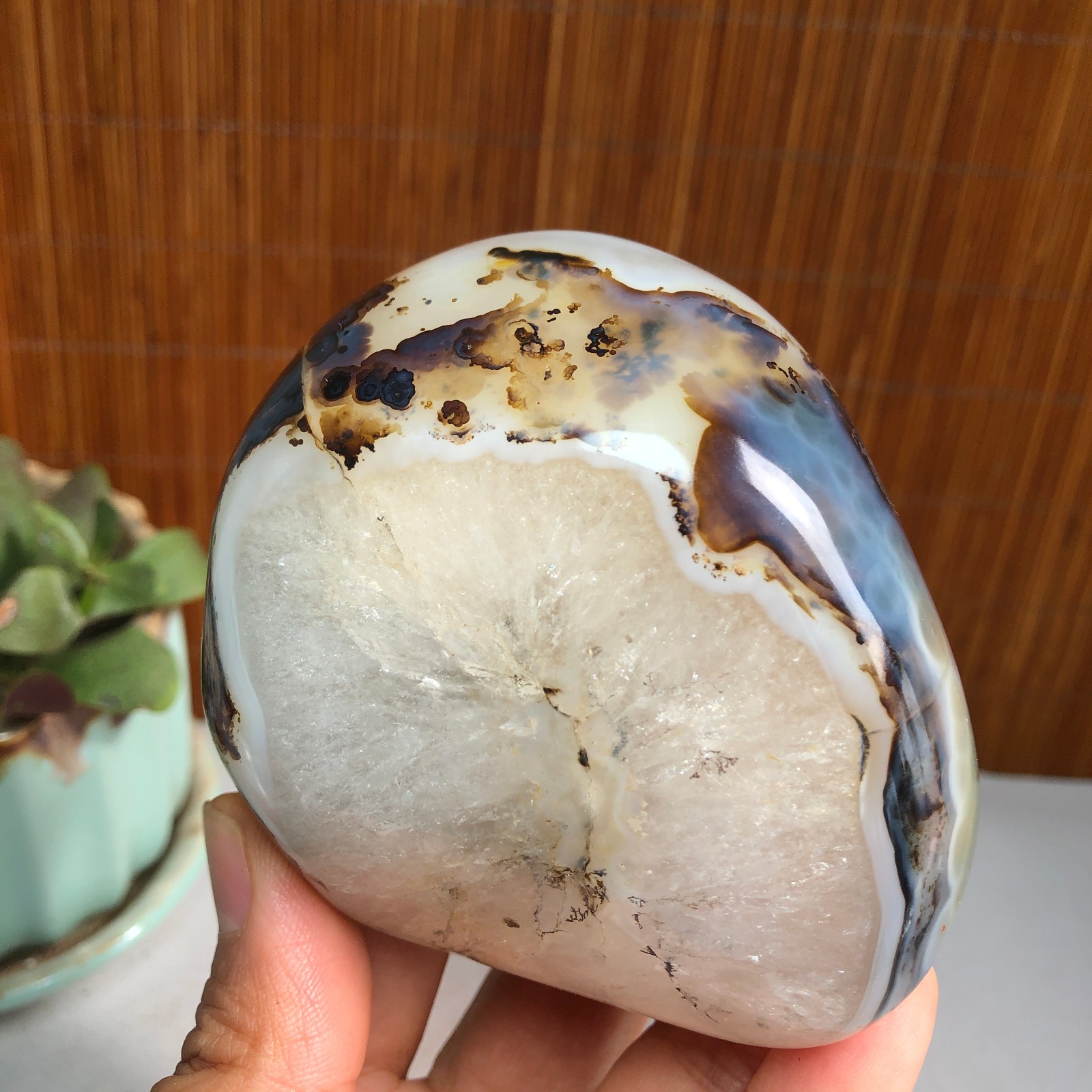 83mm Natural aquatic plants agate pretty Crystal specimens 427g A1482