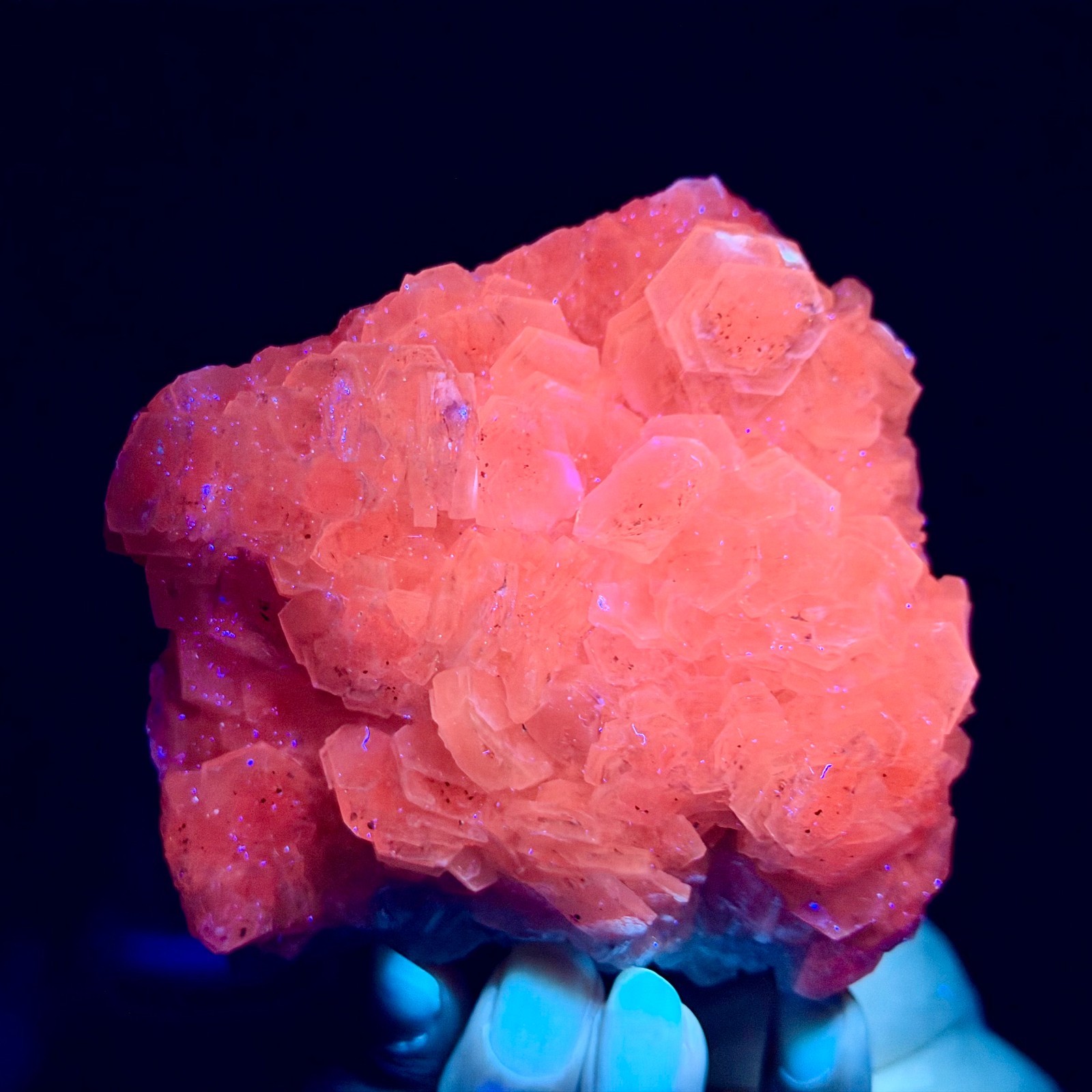 493G Natural String of Copper Coins Calcite/Fluorescent Glow Under UV Light