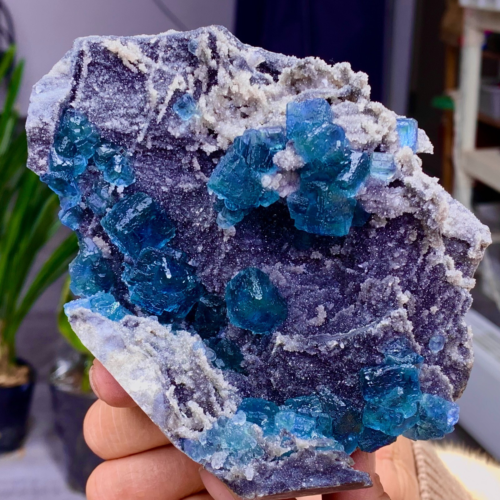 1.36LB Natural transparent purple cubic fluorite mineral sample Inner Mongolia