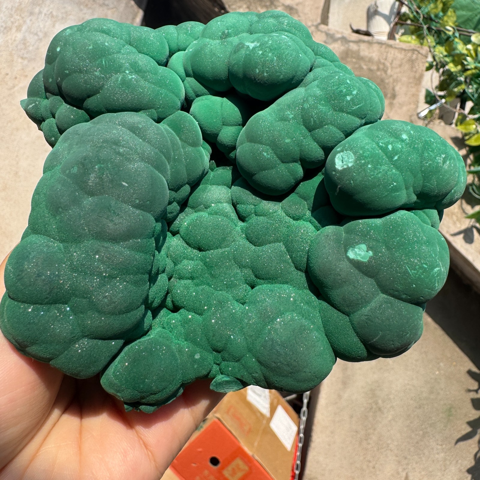 1180G Natural Malachite crystal quartz Mineral Specimen Reiki congo