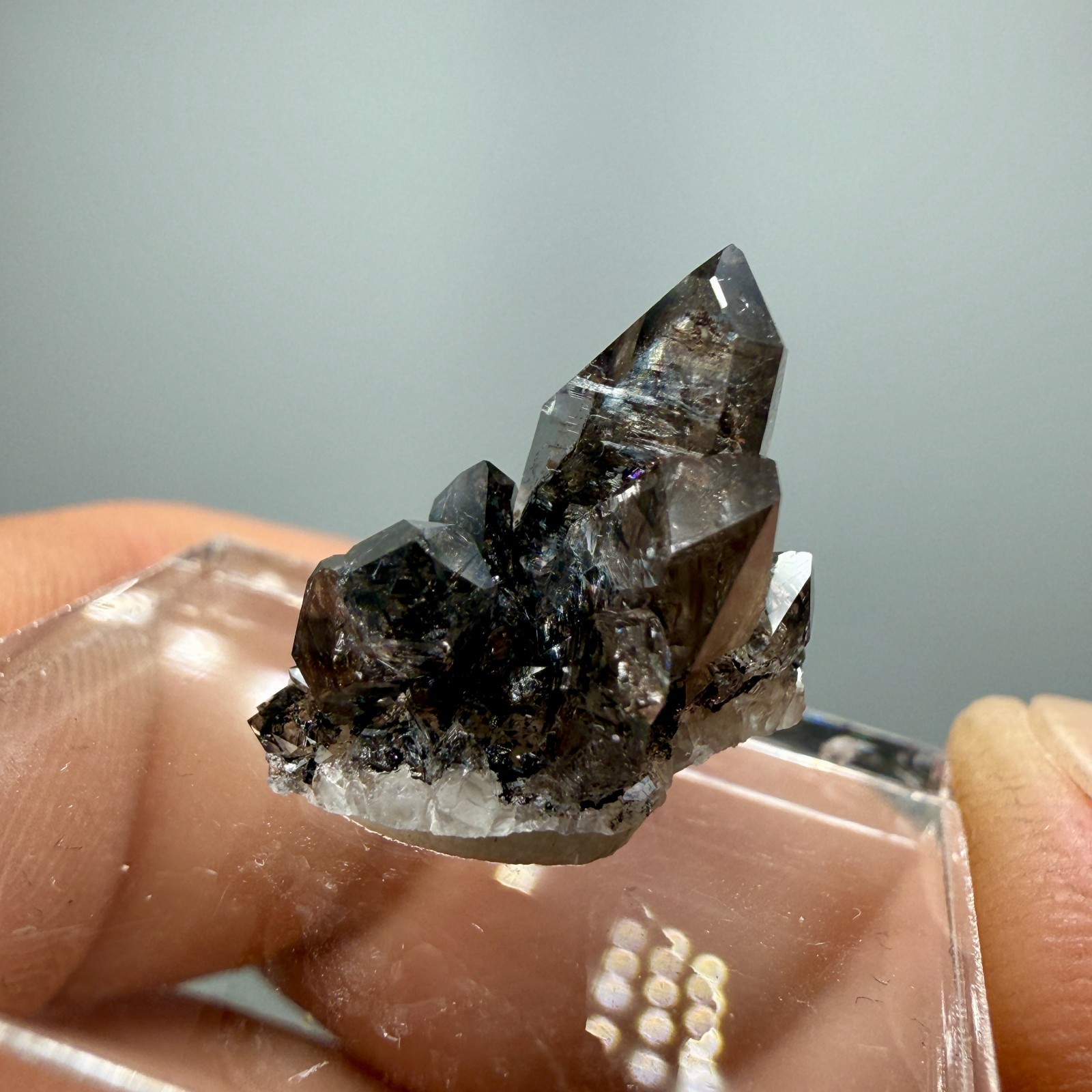 Herkimer Diamond Perched on Rare Black Druze, Gem Points w/ Phantoms