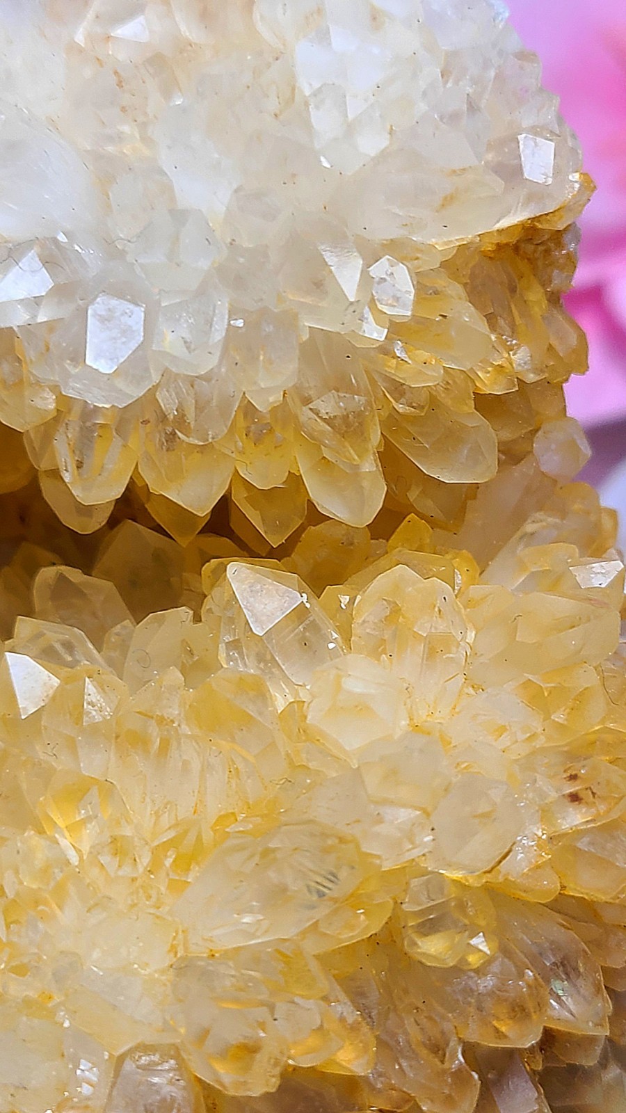 3.7″ 361g Pretty A+ Golden Healer Flower Quartz Crystal Stone Cluster Specimen