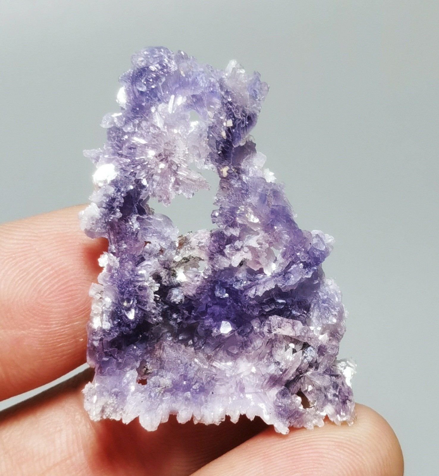 Natural Flower Purple Creedite Cluster Mineral Specimen China