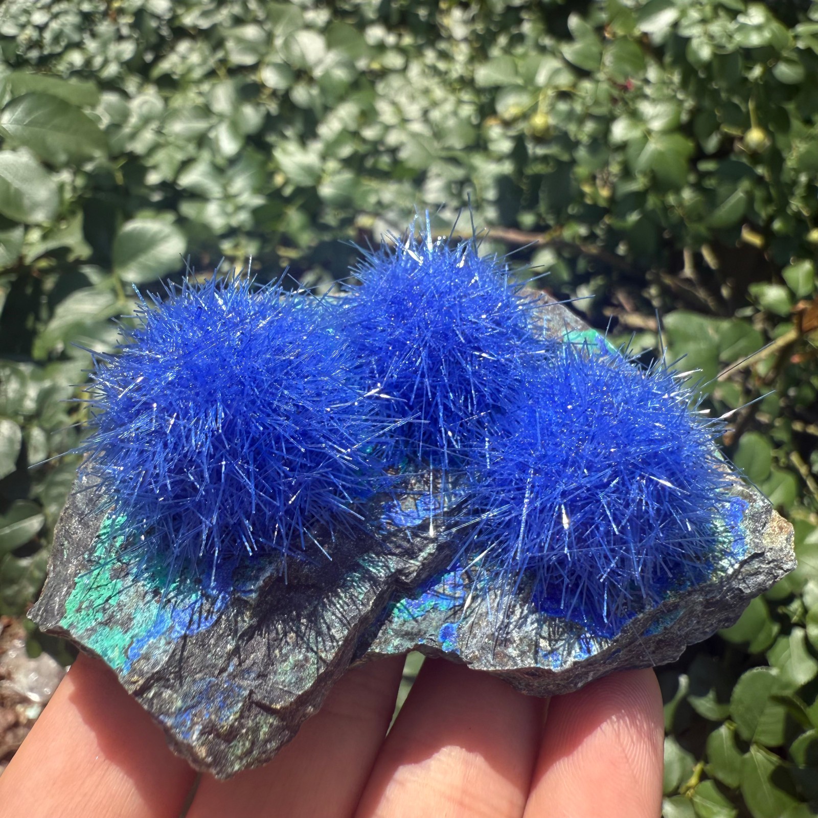 Raw Rough Dandelion Zeolite Cluster Blue Cave Quartz Crystal Specimen Decoration