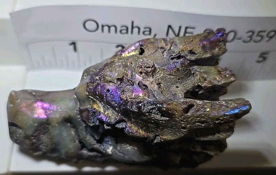 Dragon Head Carving In Aura Sphalerite 4″ 9Oz. Rainbow Aura Coated Natural Stone