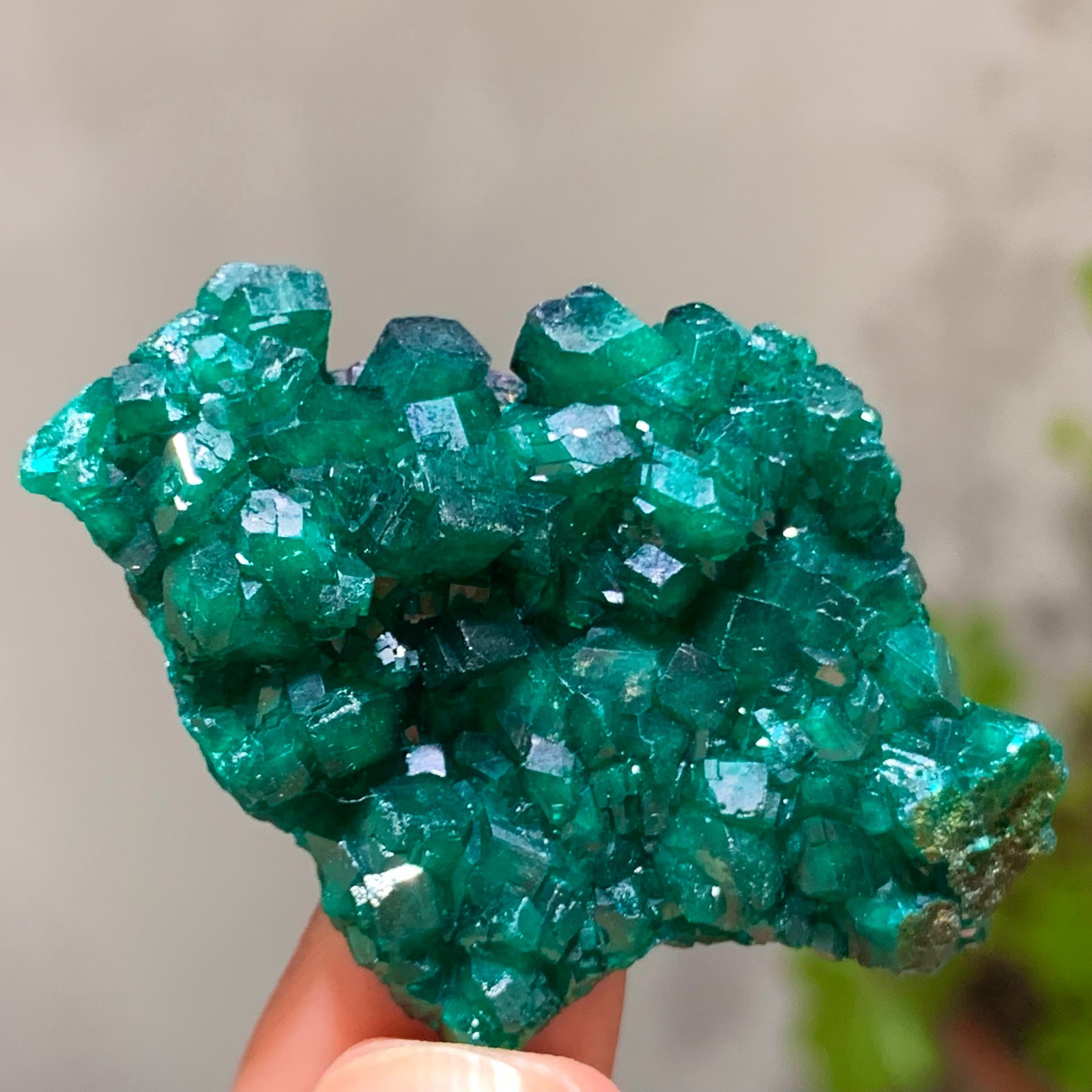 15G Natural green dioptase emerandine gemstone cluster mineral specimen