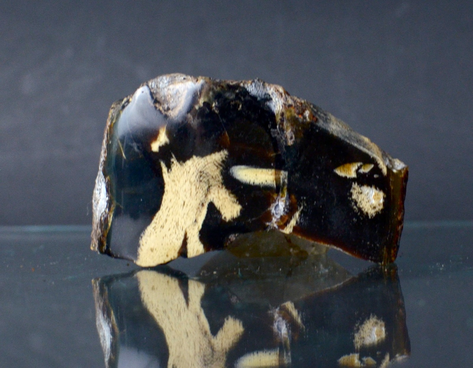 Polished Blue Amber | UV Reactive Amber Indonesia B116