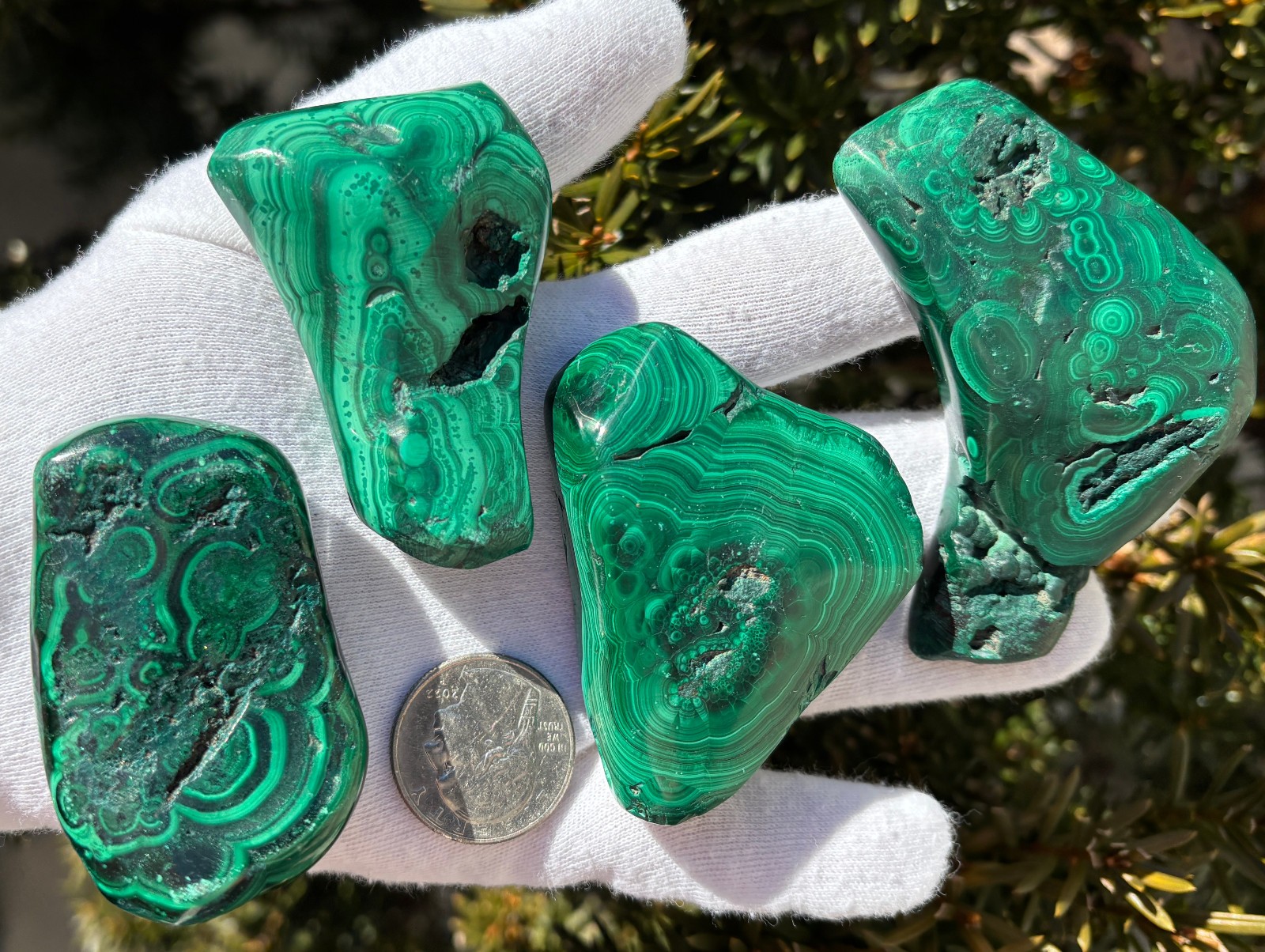 USA SALE 402g LOT MALACHITE POLISHED XL TUMBLE PALMSTONE SIZE PALM STONE STONES