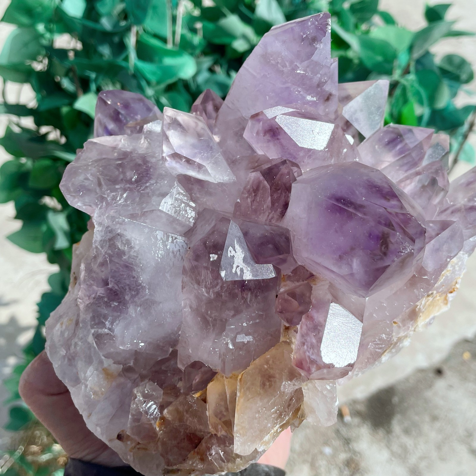 ALL 10.3LB Natural Amethyst Quartz Cluster Crystal Mineral Point Healing C2641