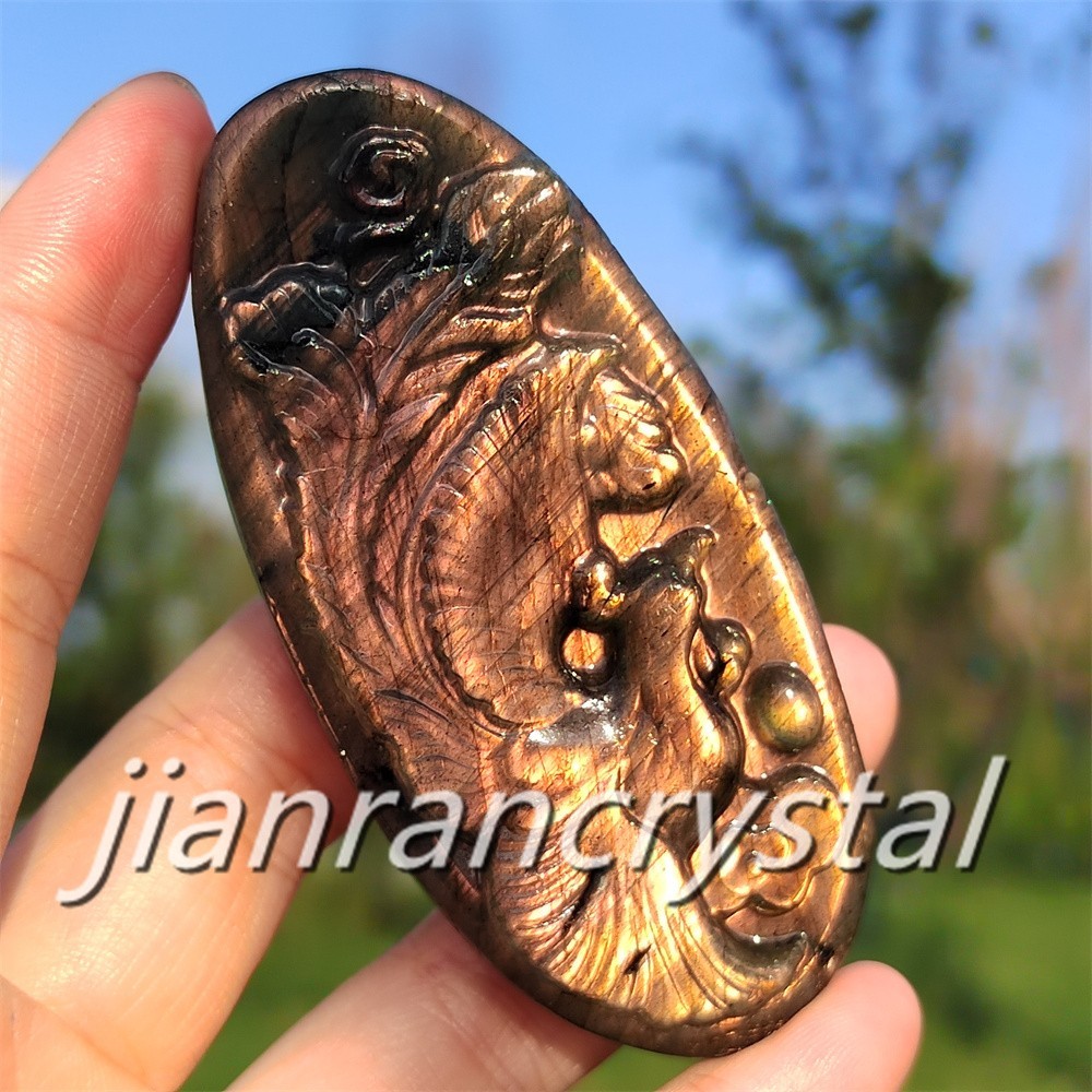 Rare Natural Labradorite Carved Phoenix Totem Quartz Crystal Skull Healing 1pc