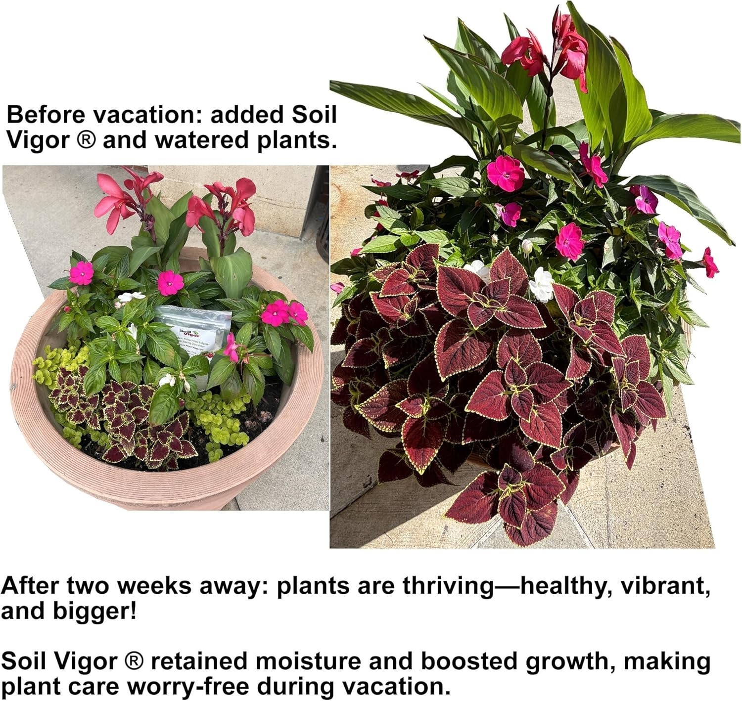 Potassium Based Water Crystals for Plants – 1 lb Hydrogel Reduces Watering Needs