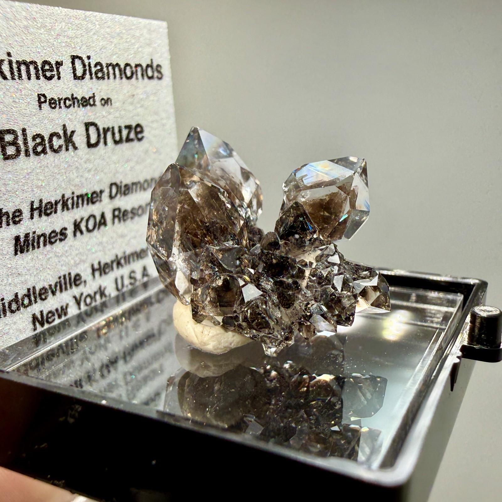 Herkimer Diamond Gems Perched on Druzy Matrix, Complete Floater, Top Shelf Piece