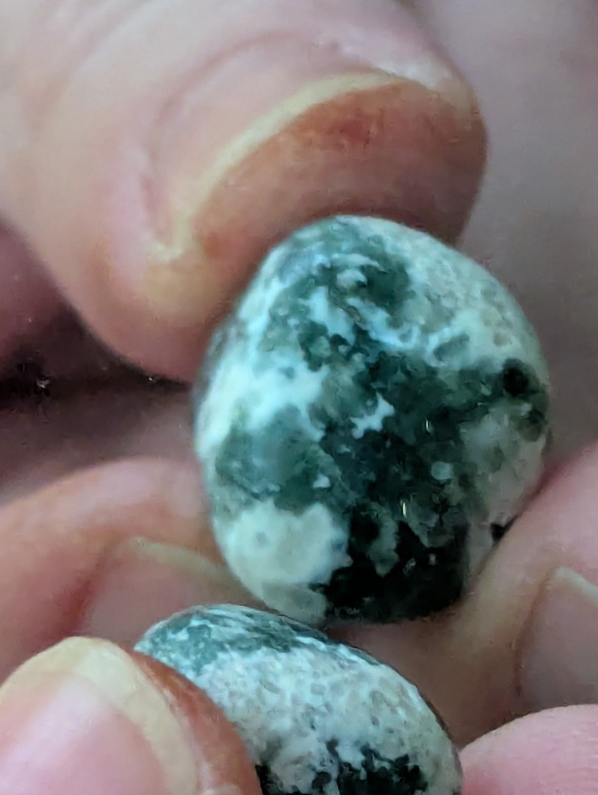 Small Multi Colored Rock
