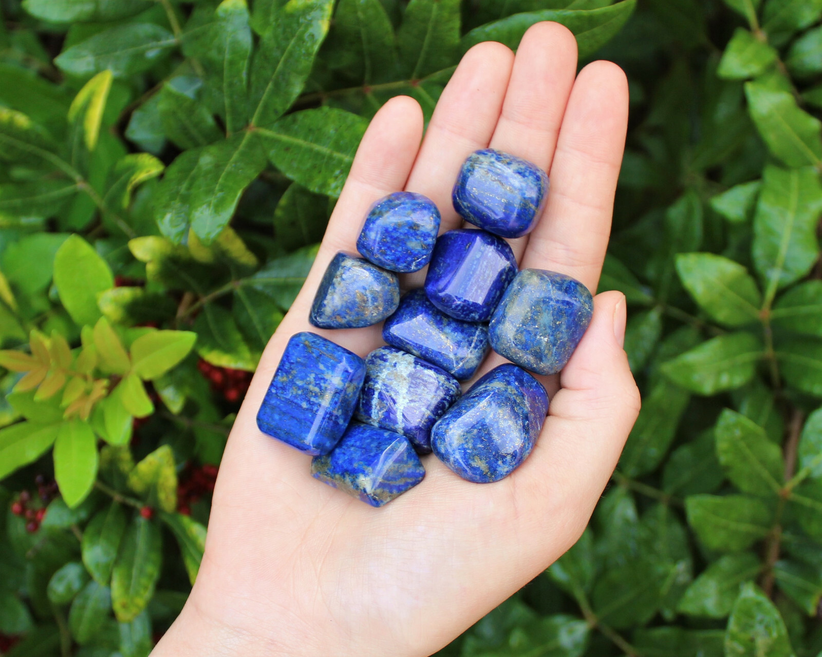 1/4 lb Bulk Lot Lapis Lazuli Tumbled Stones: Premium ‘A’ Grade Large 4 oz