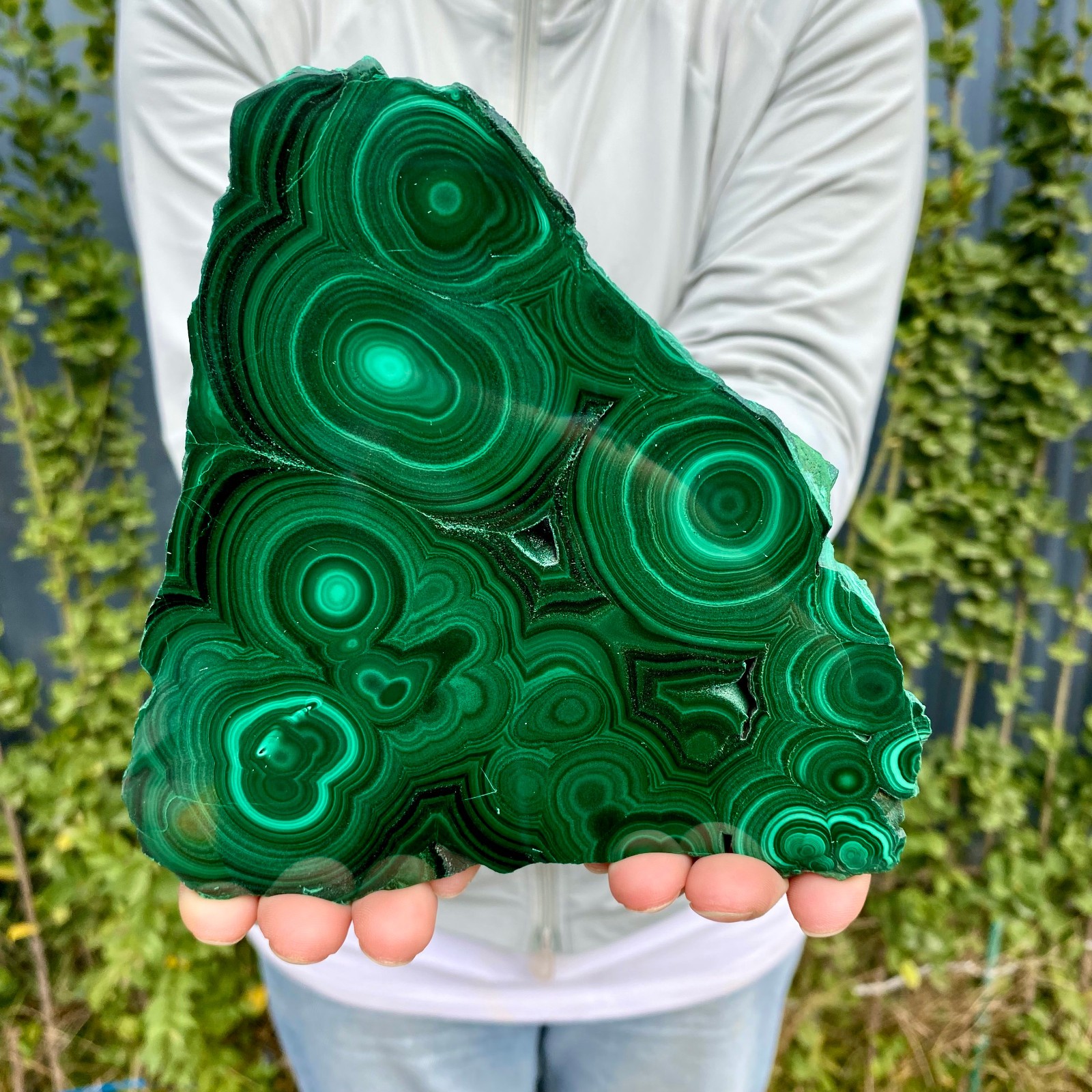 1.41LB Natural malachite slice quartz crystal luster mineral specimen