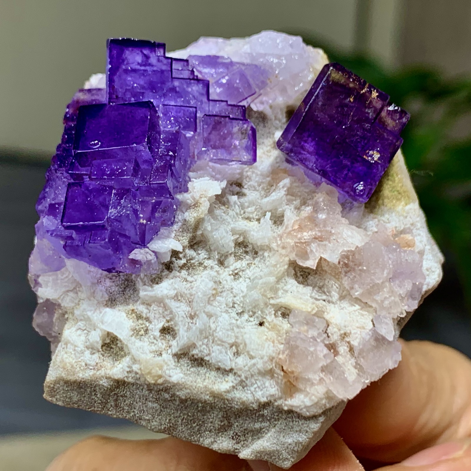 118G Natural purple framed cubic fluorite mineral specimen/Inner Mongolia–